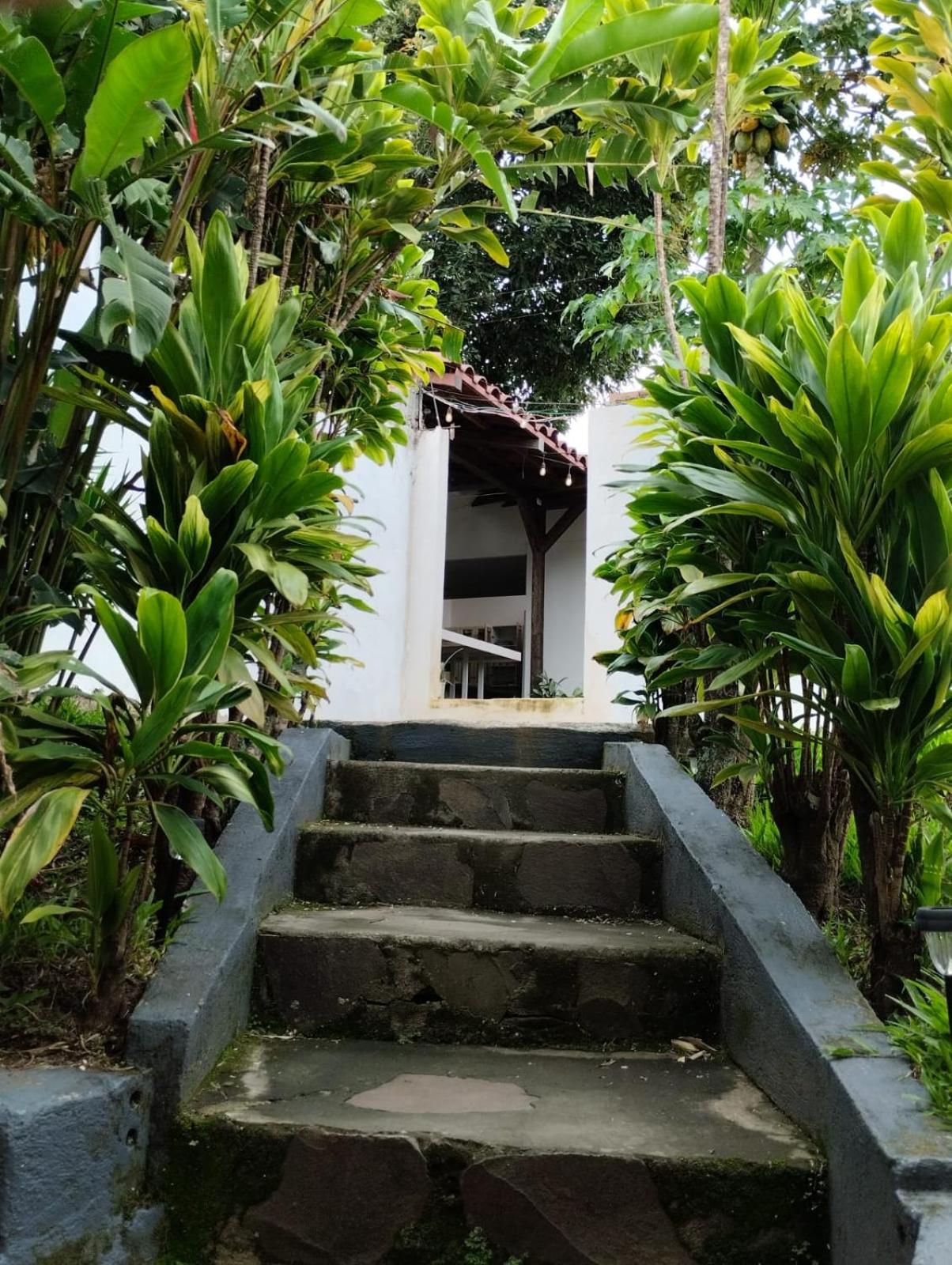 Casa Escalante Hostel
