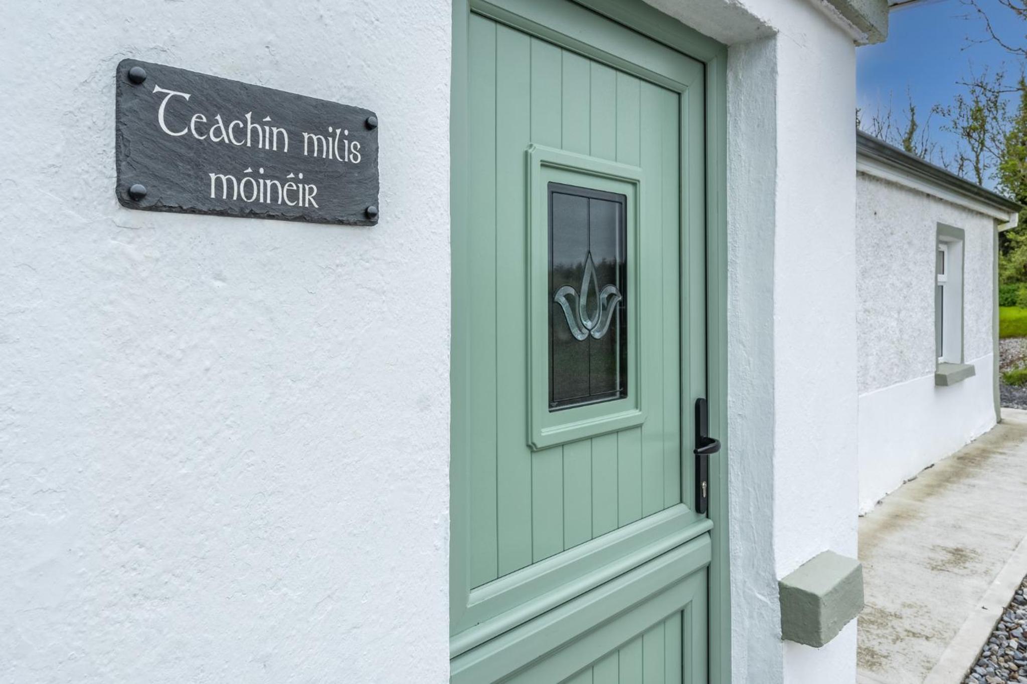 Teachiń milis Móinéir