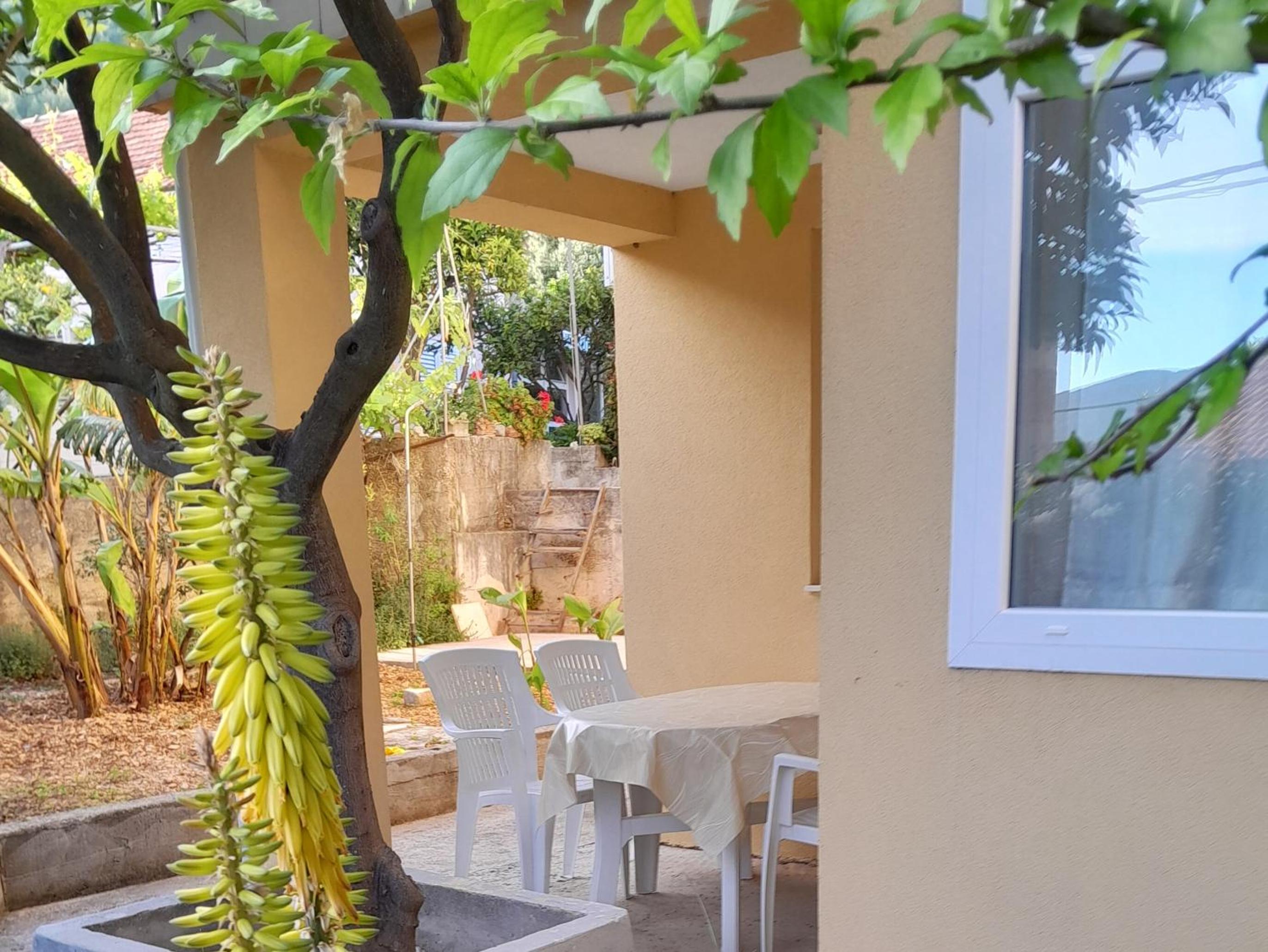 Apartments Viganj
