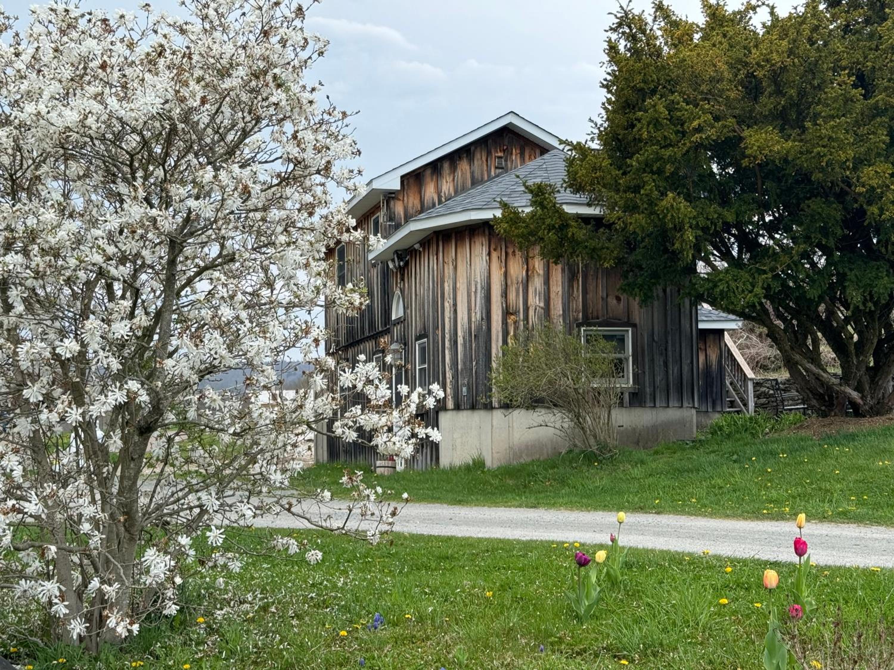 Photo 12