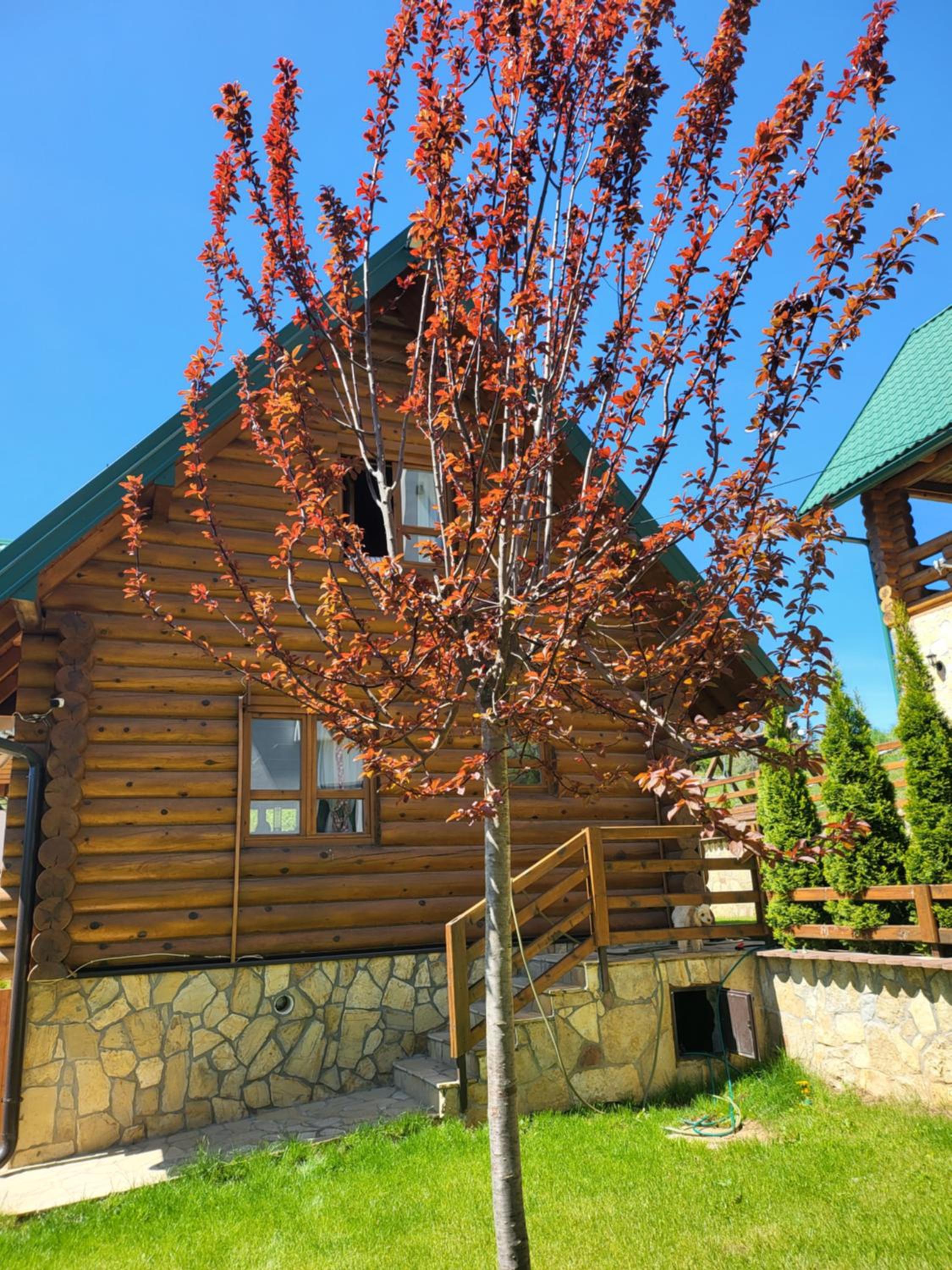Zlatar Luxury Chalet - TRACE OF NATURE 2214 view 3