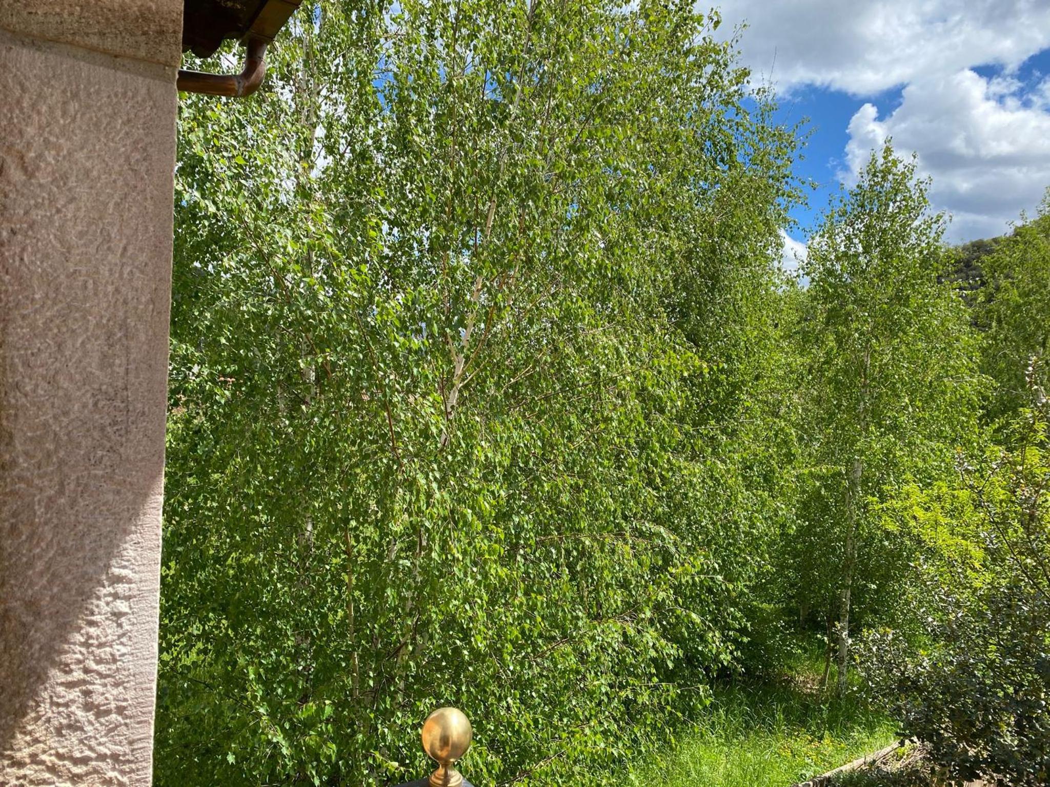 Picos de Europa Suites and Rooms