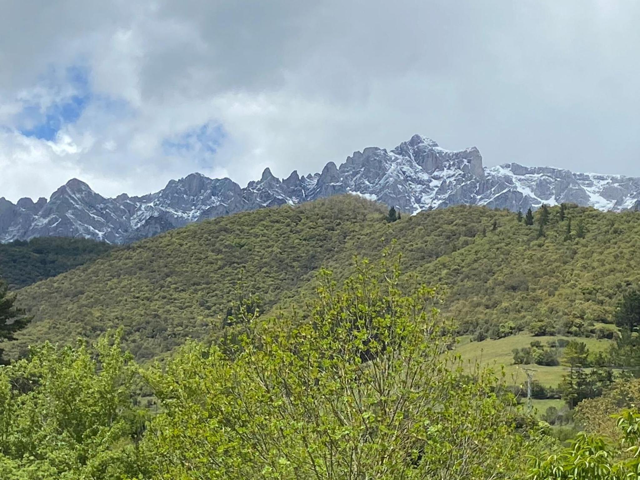 Picos de Europa Suites and Rooms