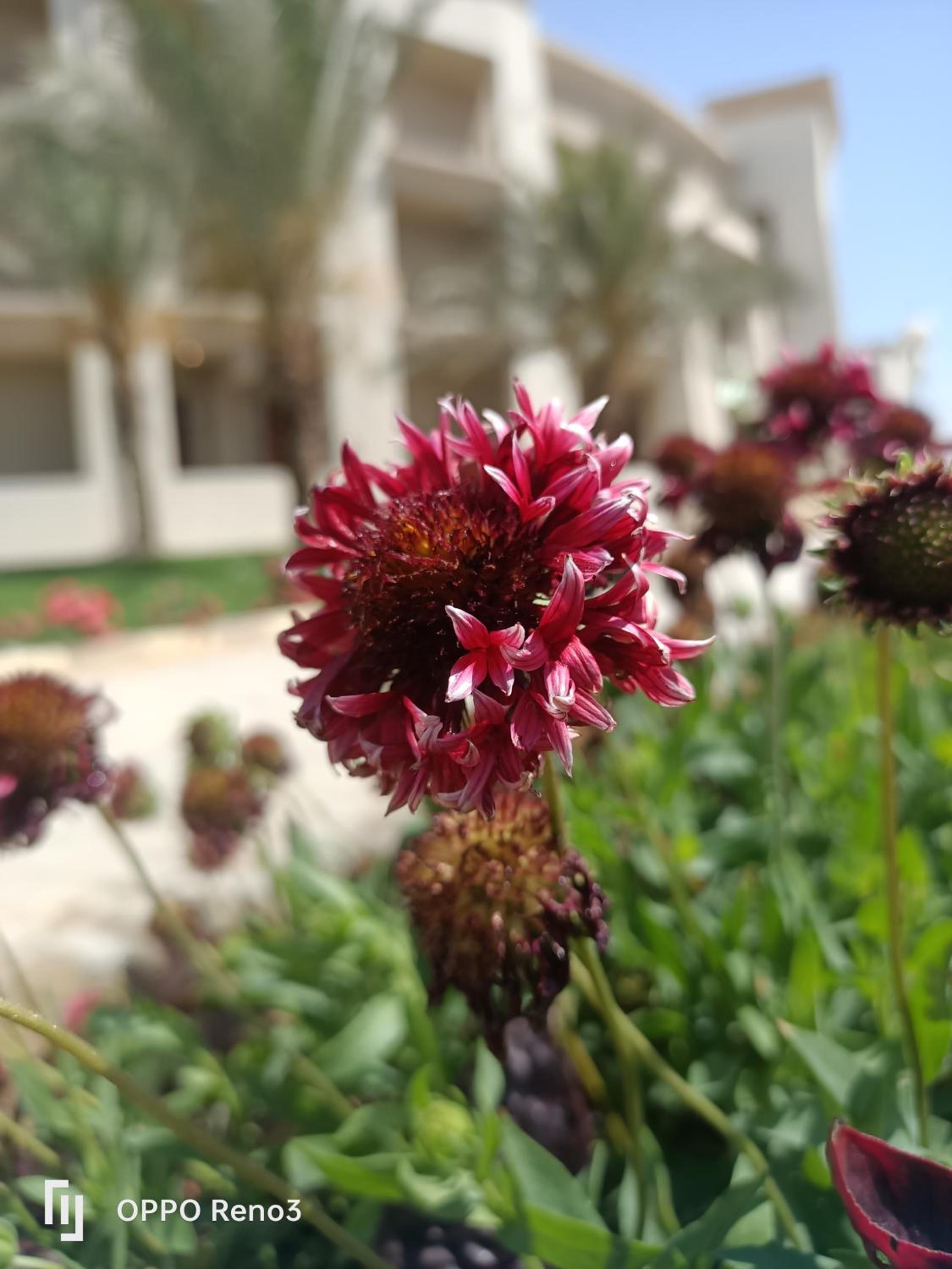 Chalet at Lasirena Mini Egypt Resort Ein Elsokhna Families Only