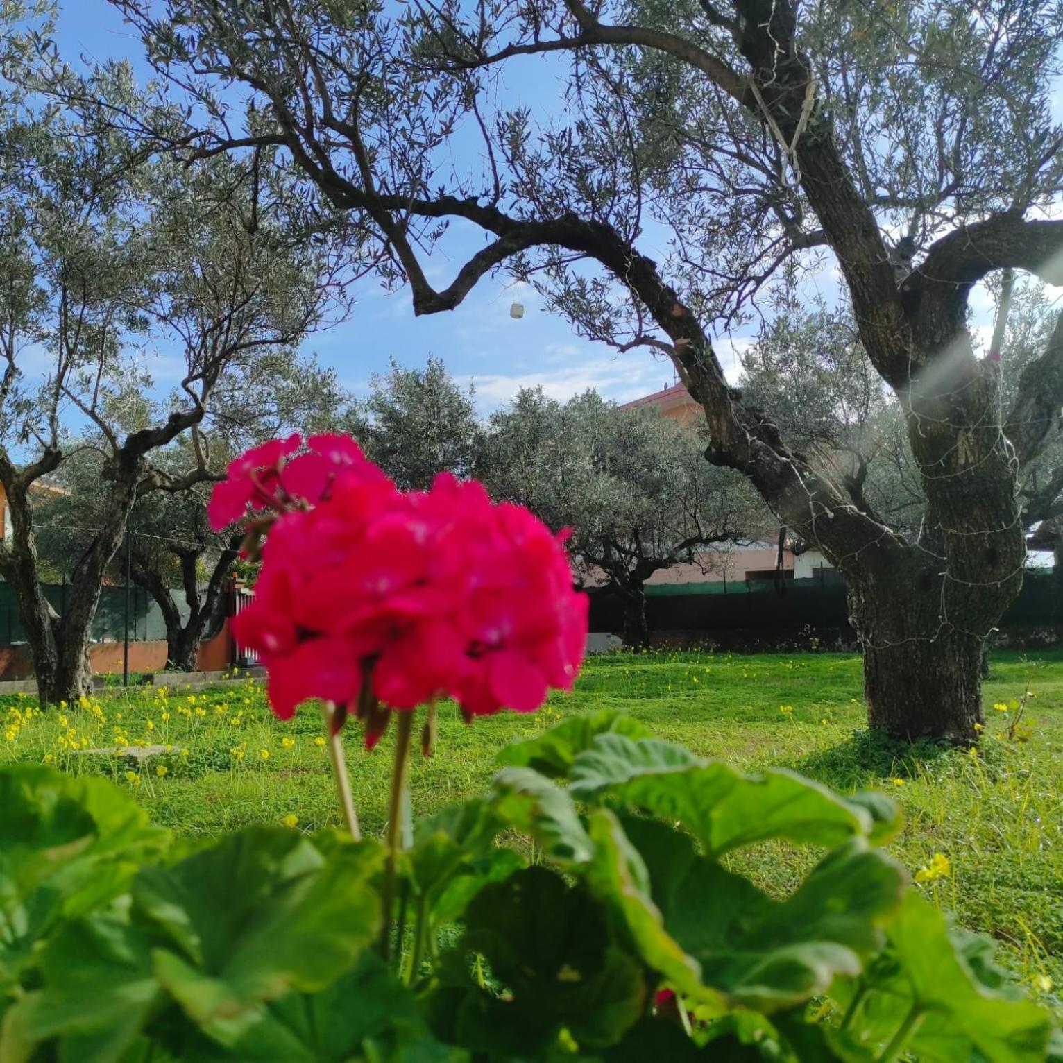 Casa torelli azzurro photo 5
