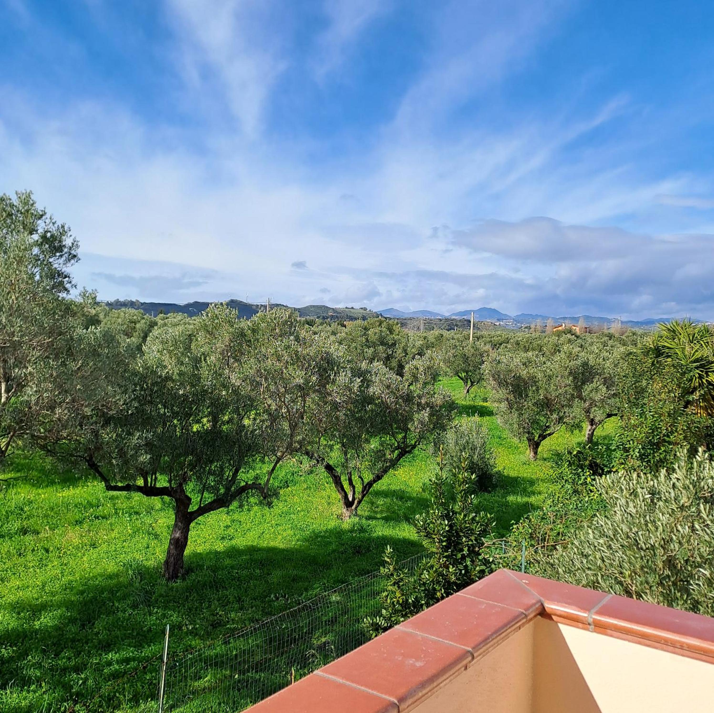 Casa torelli azzurro photo 2