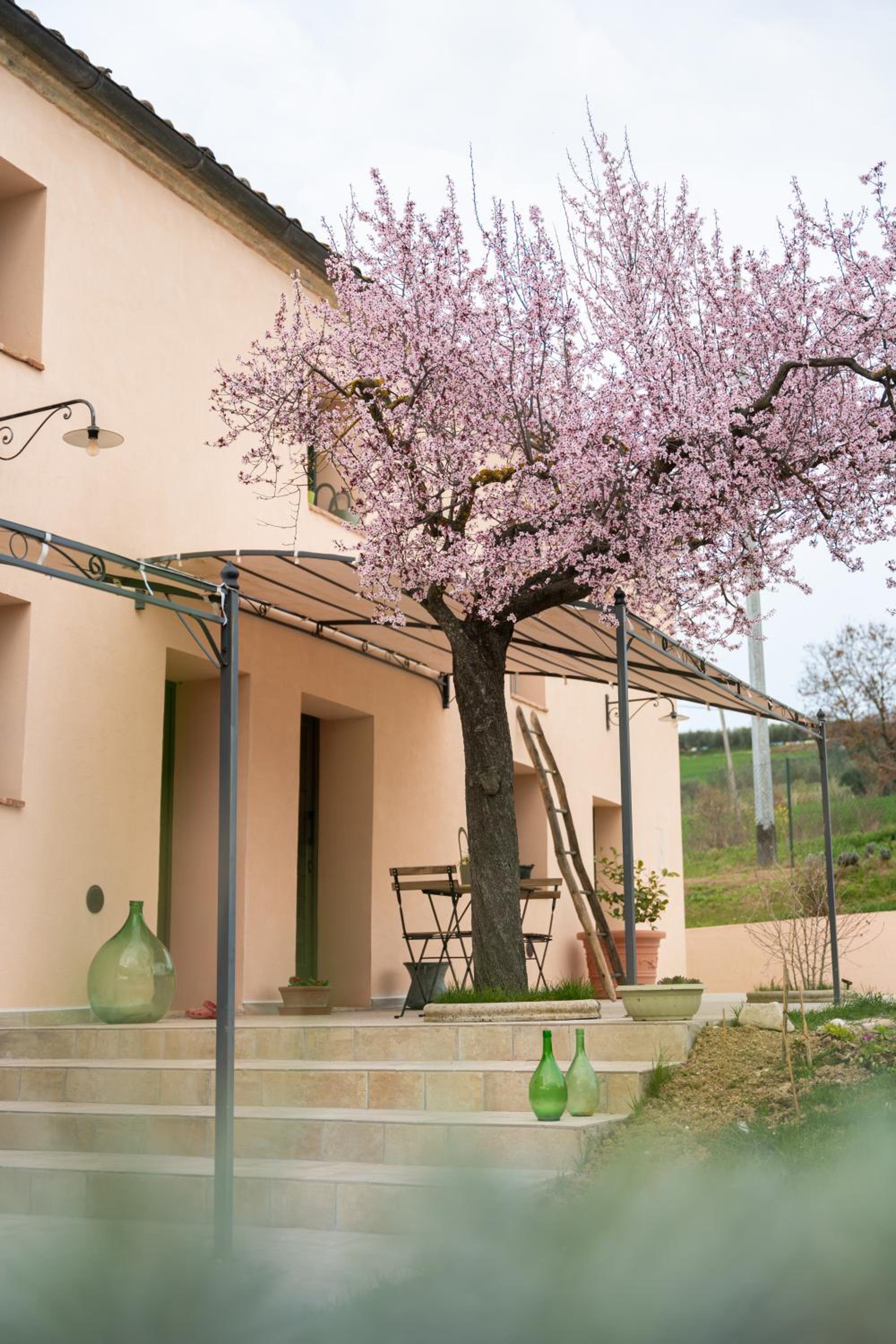 B&B Le Rondini Ostra Senigallia Ancona view 5