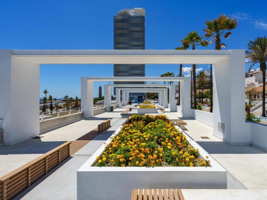 Casa Alba