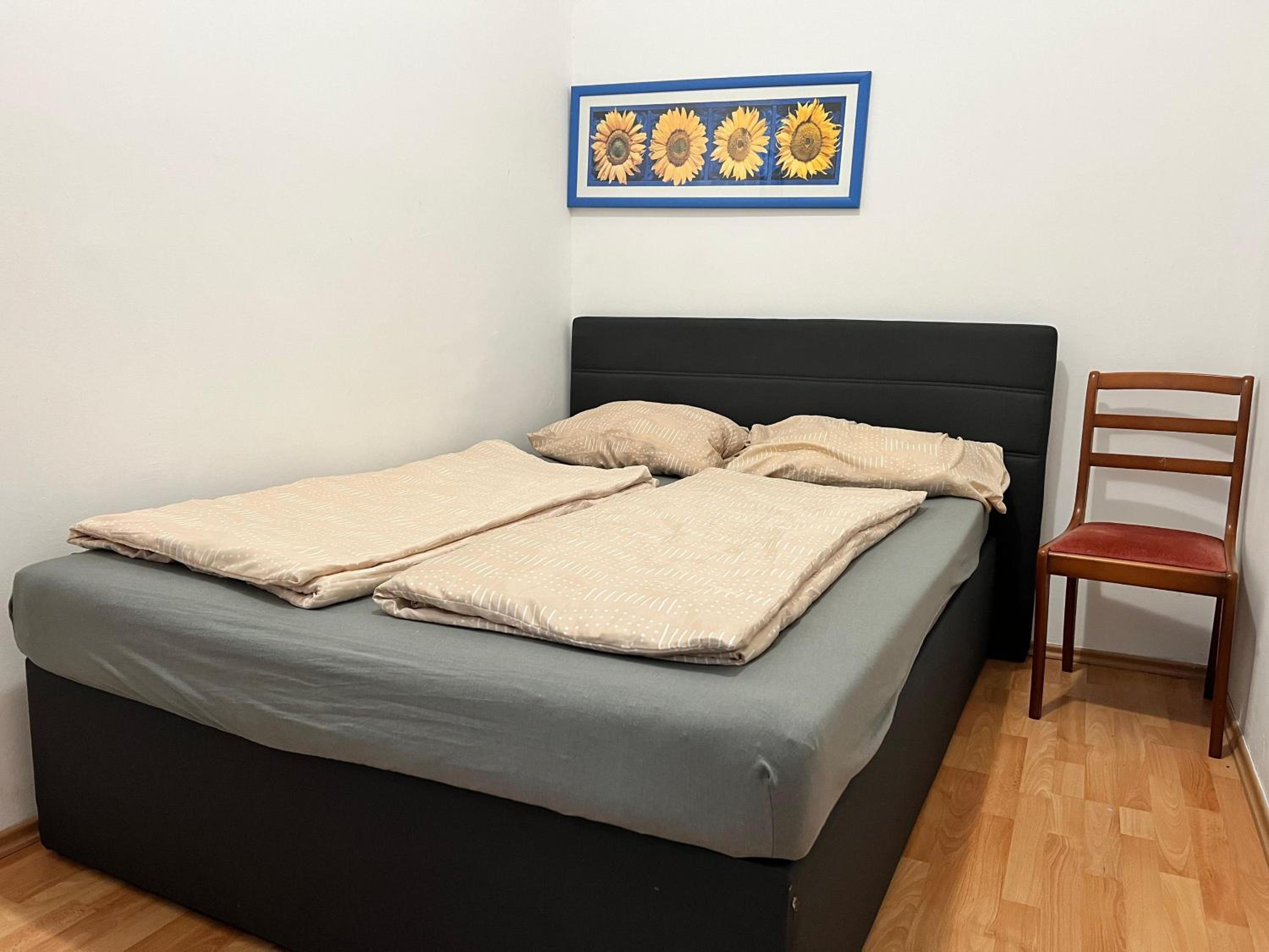 Cozy 2BR Apt- Near Danube River