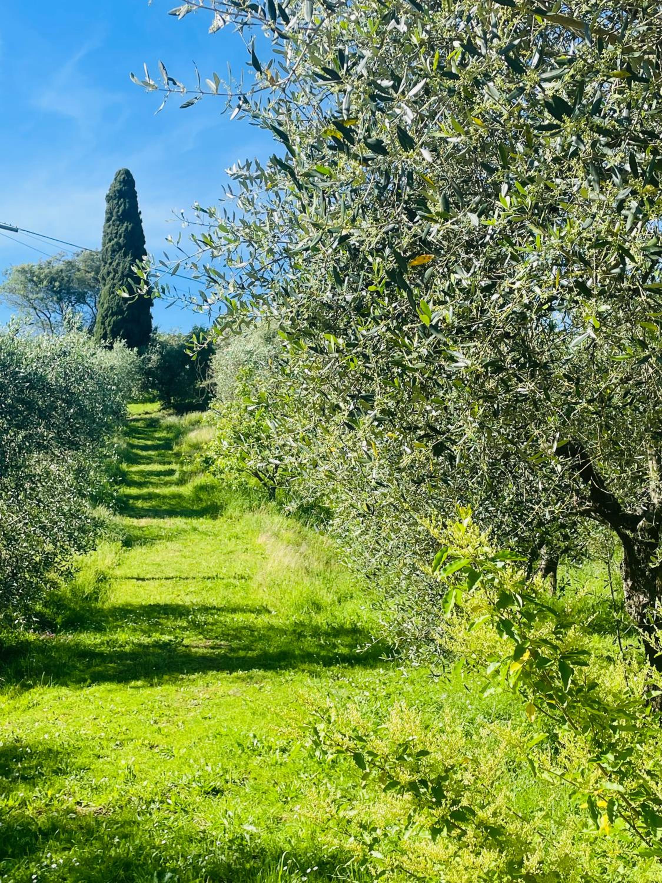 JCK Tuscany Apartment