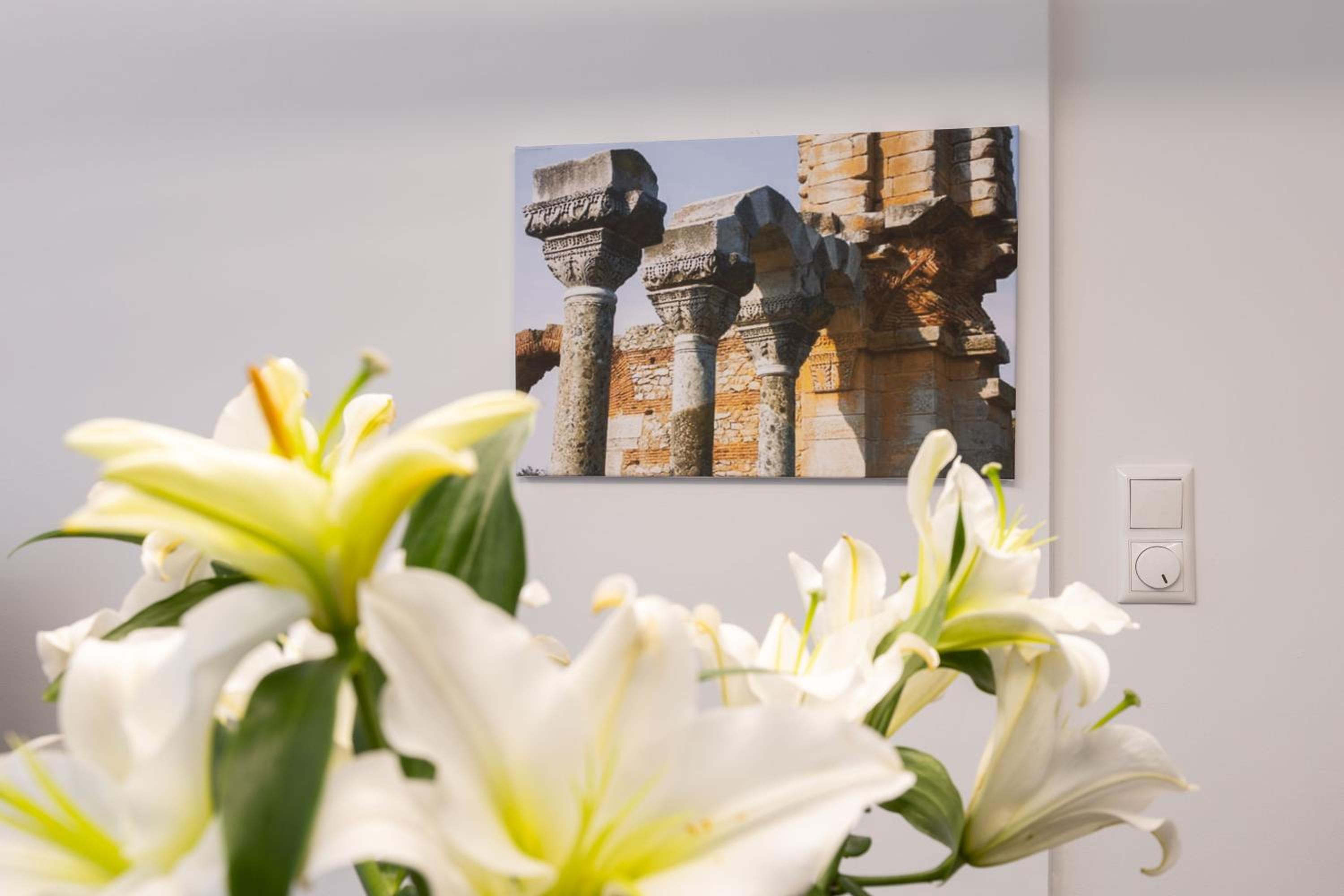 Arc Residence Maisonette