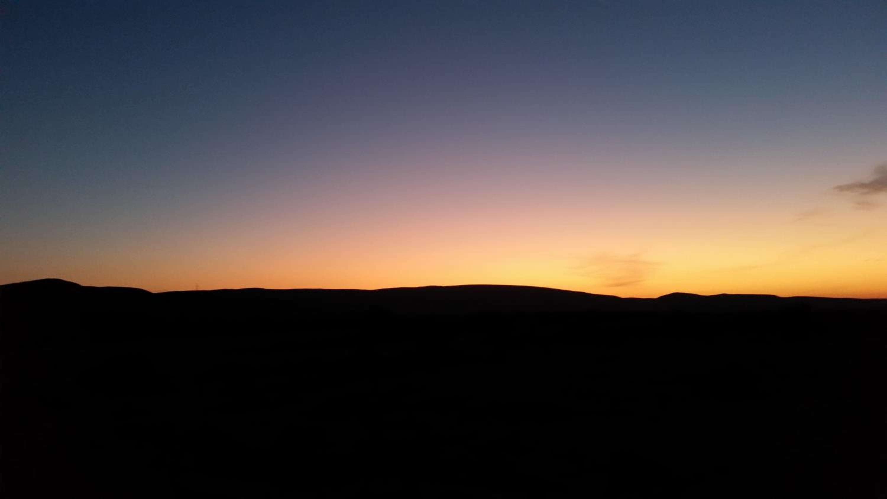 Negev Camel Ranch