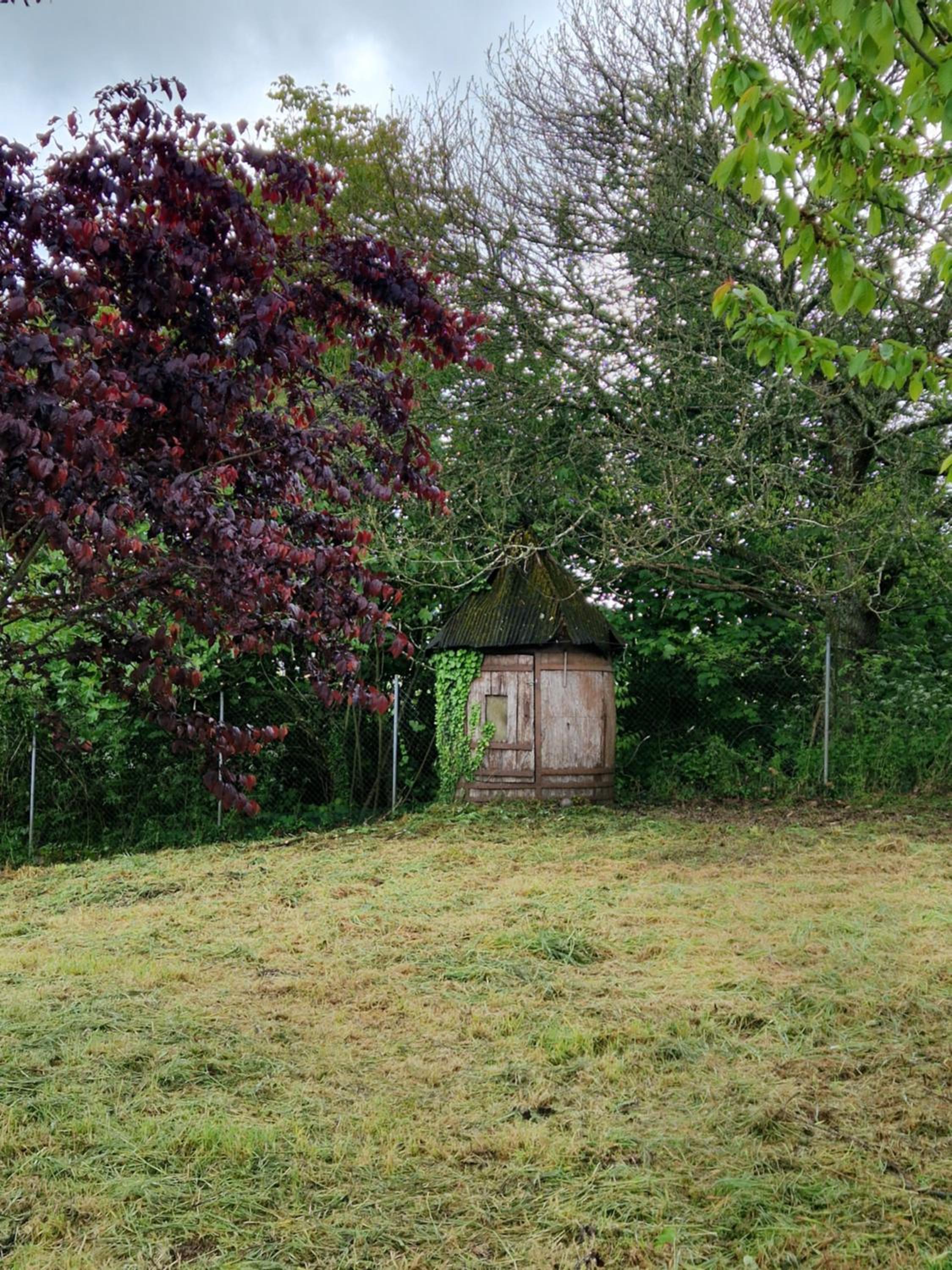 Photo 27