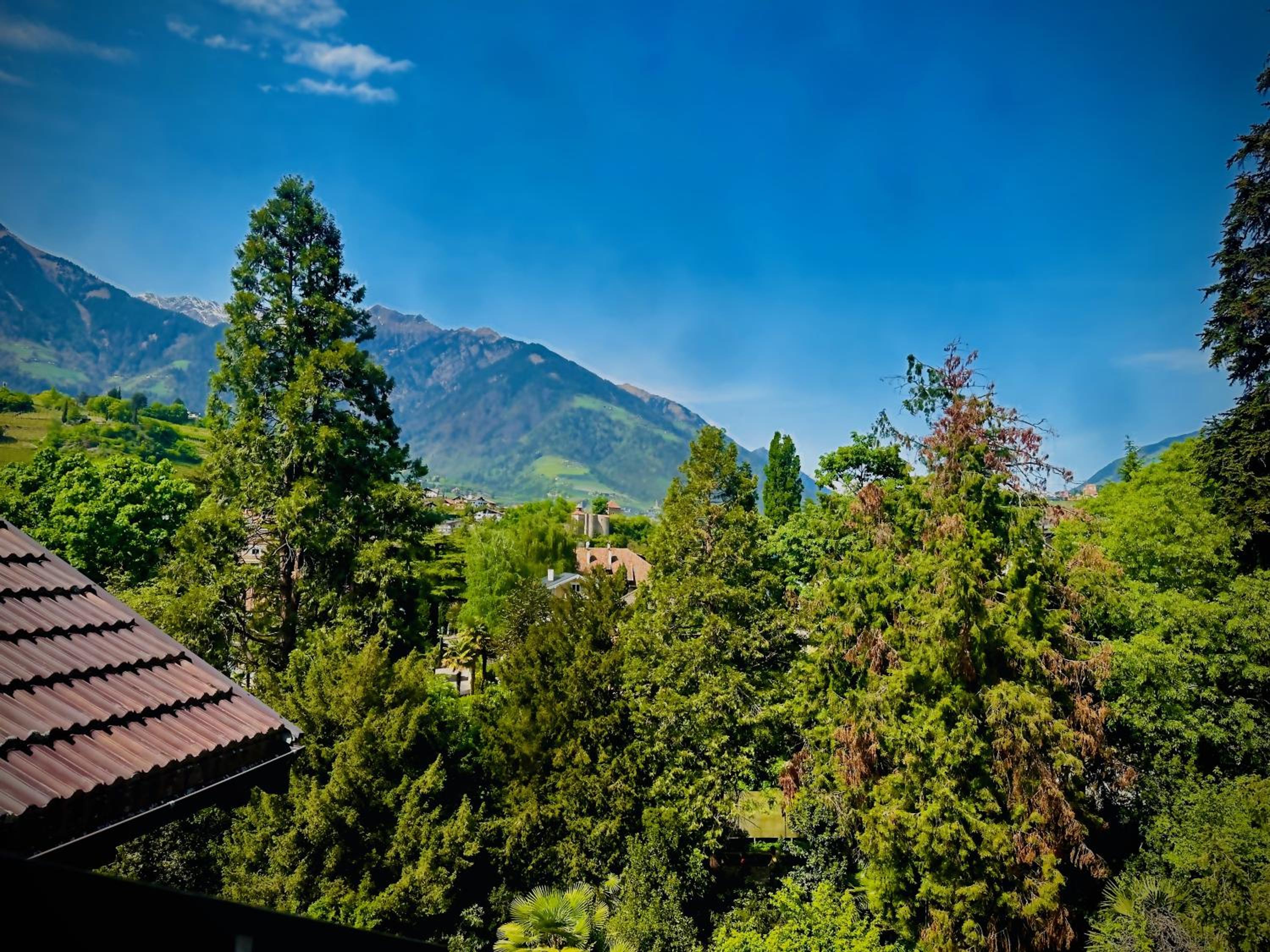 Schillerhof
