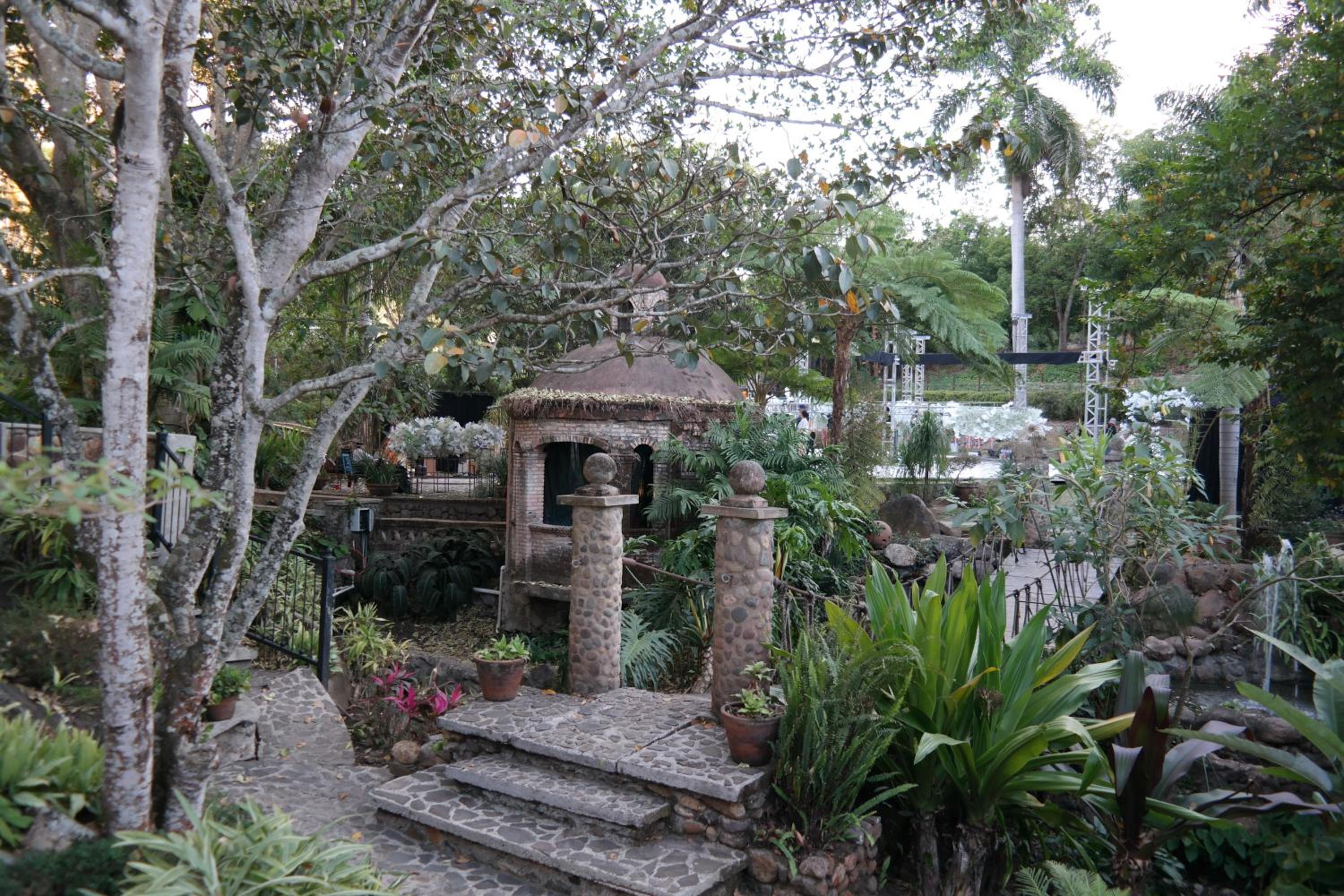 Photo 15