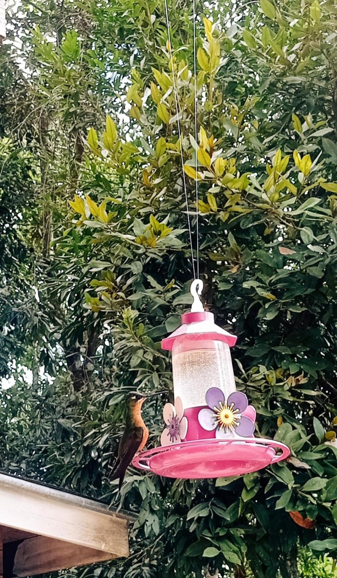 Suítes La Reserve