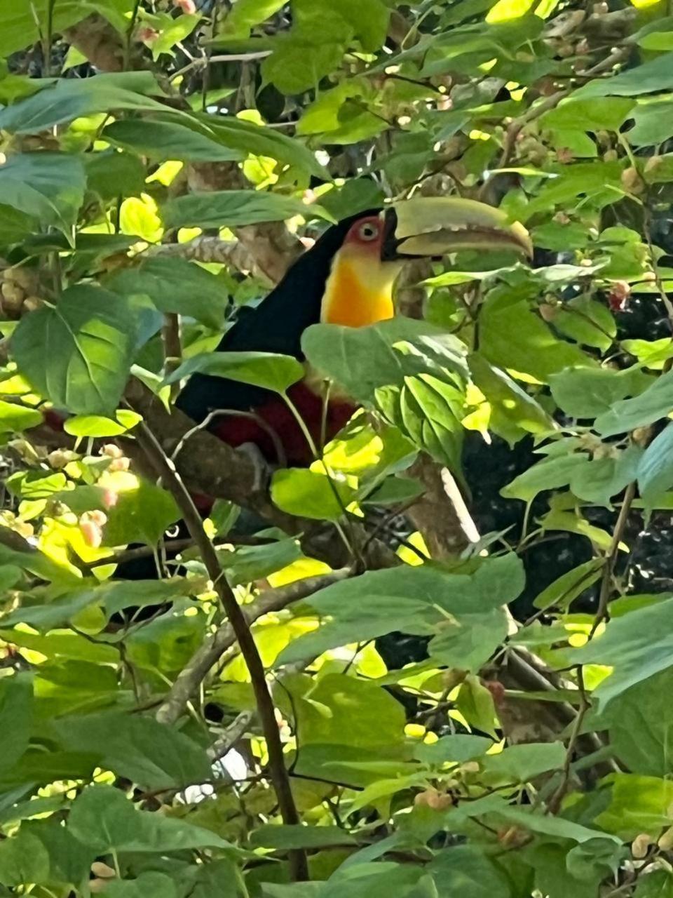 Suítes La Reserve
