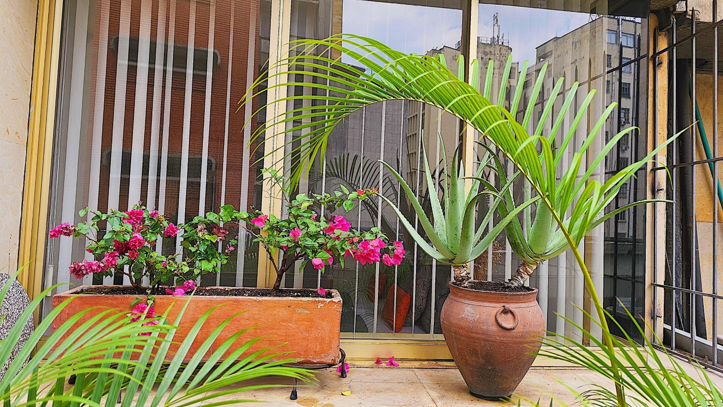 Apto con terraza privada junto al Bulevar del Rio y Calle del Sabor