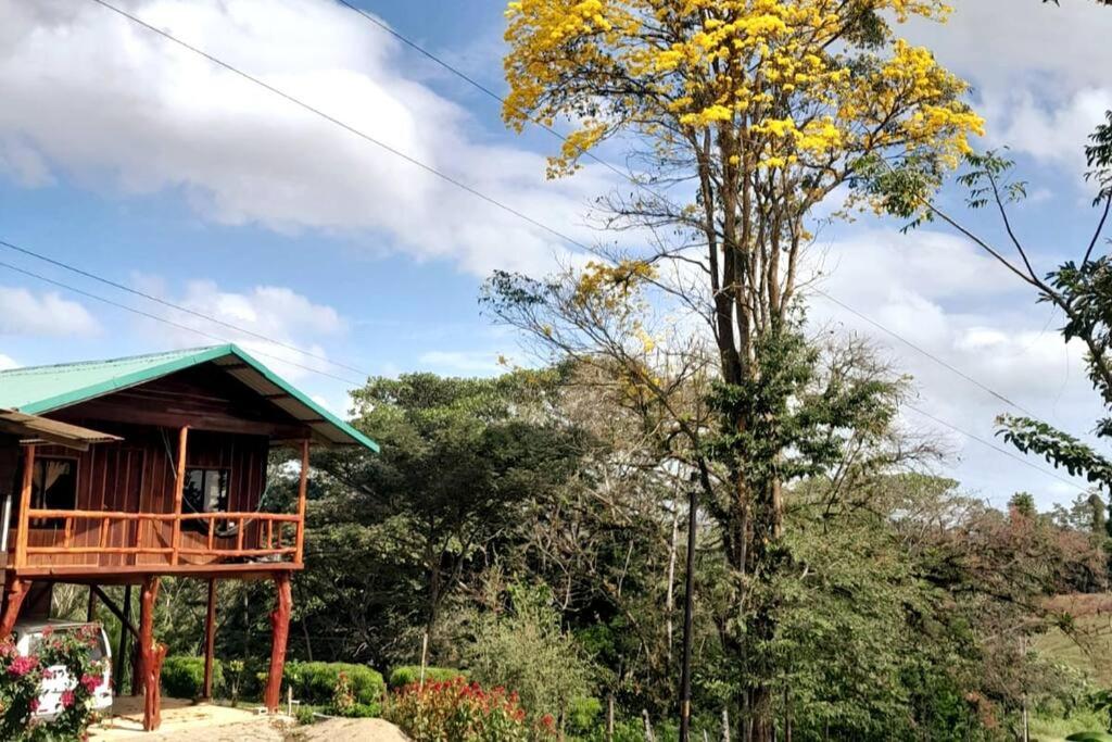 Cabaña Finca el Corteza