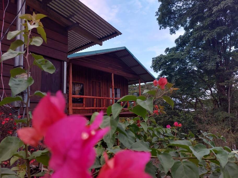 Cabaña Finca el Corteza