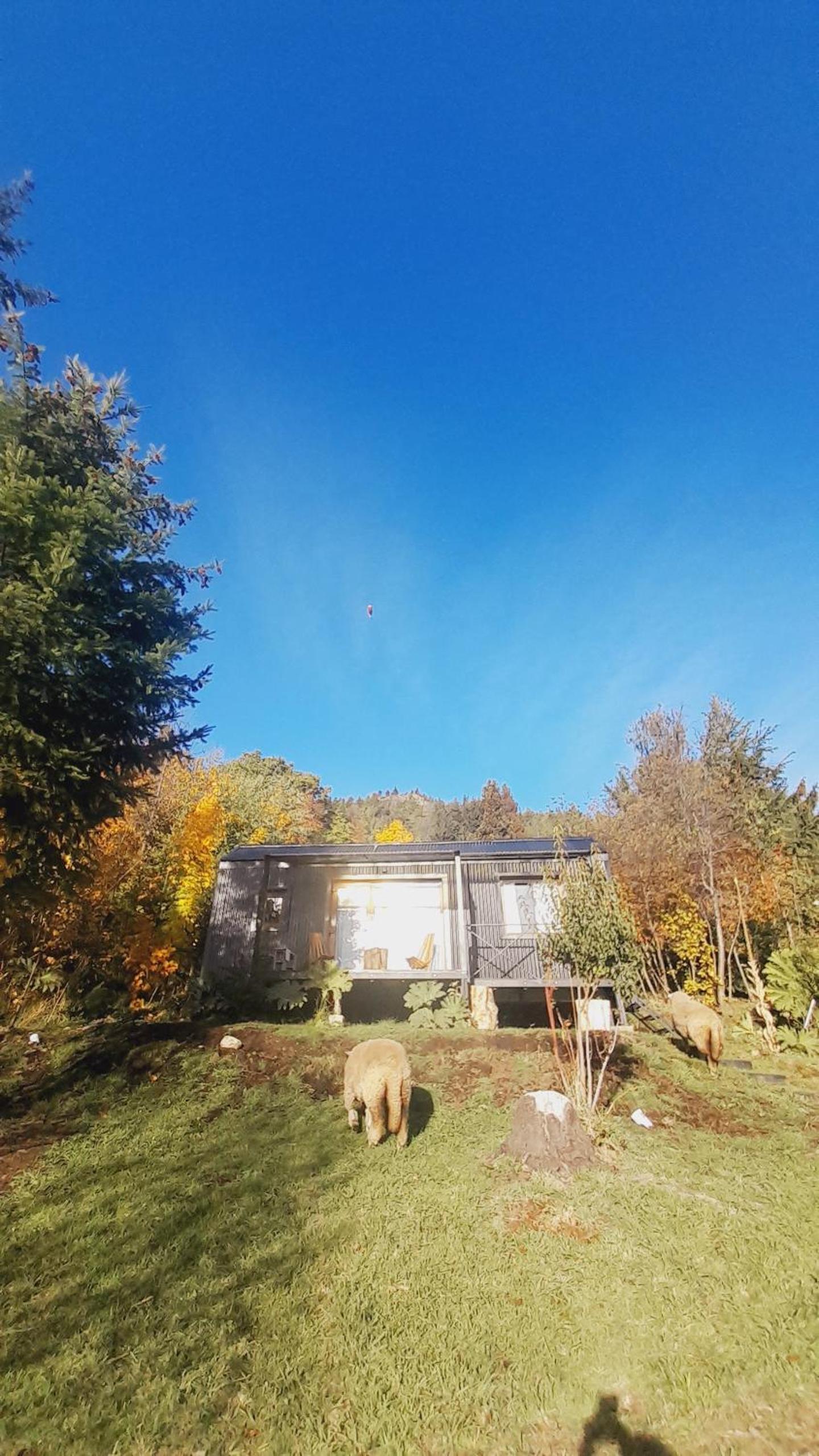 Casa en la Montaña, Casa Chucao