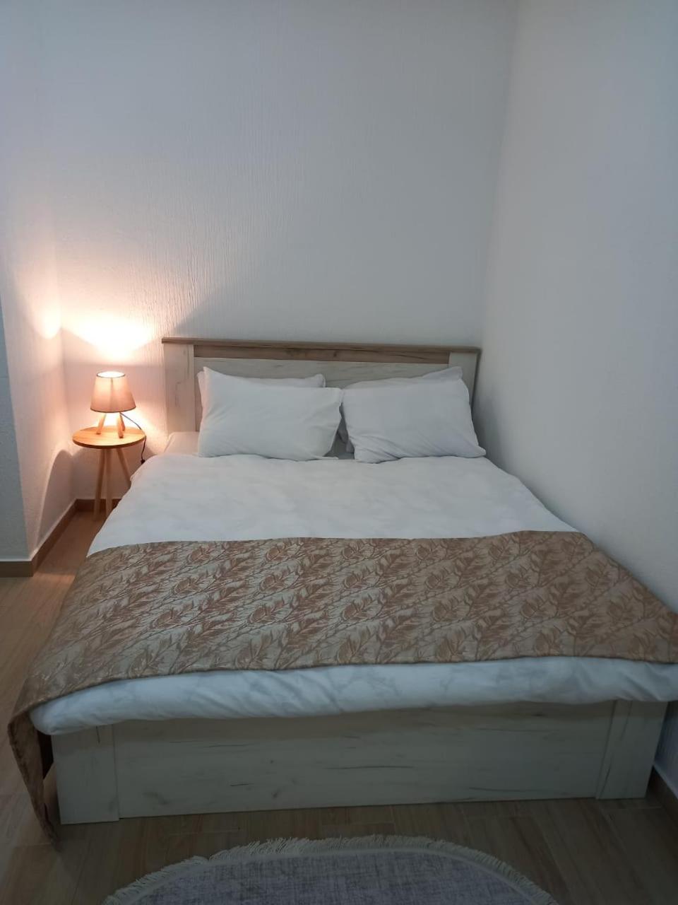 CASA APARTMENTS, one-bedroom apartment view 5
