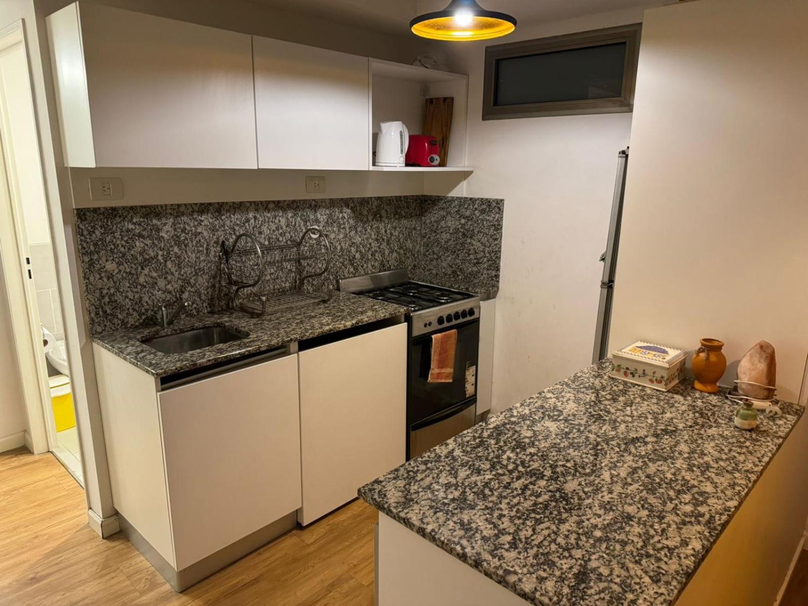Apartment with balcony, garden and parrilla