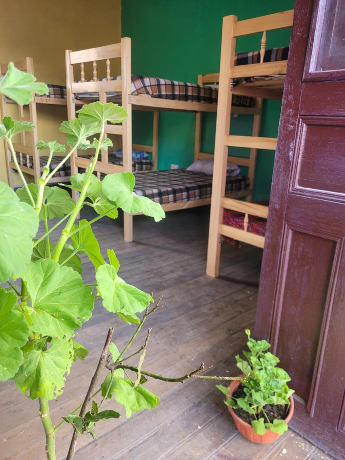 NOX Hostel Backpacker Cajamarca