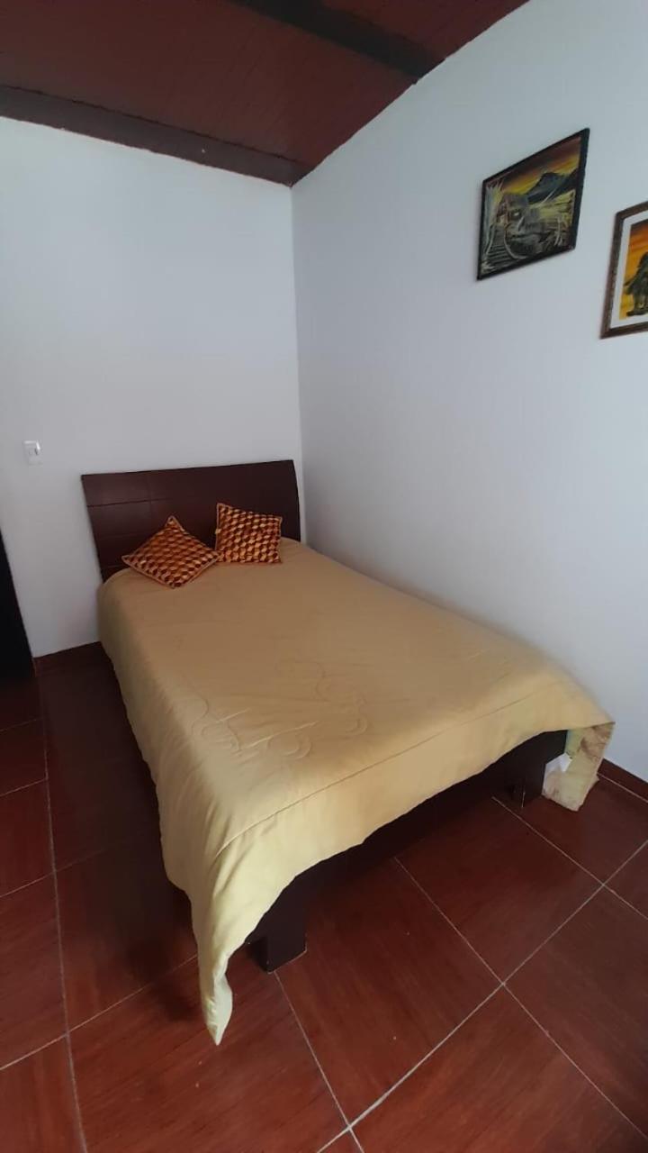 Posada lucyta