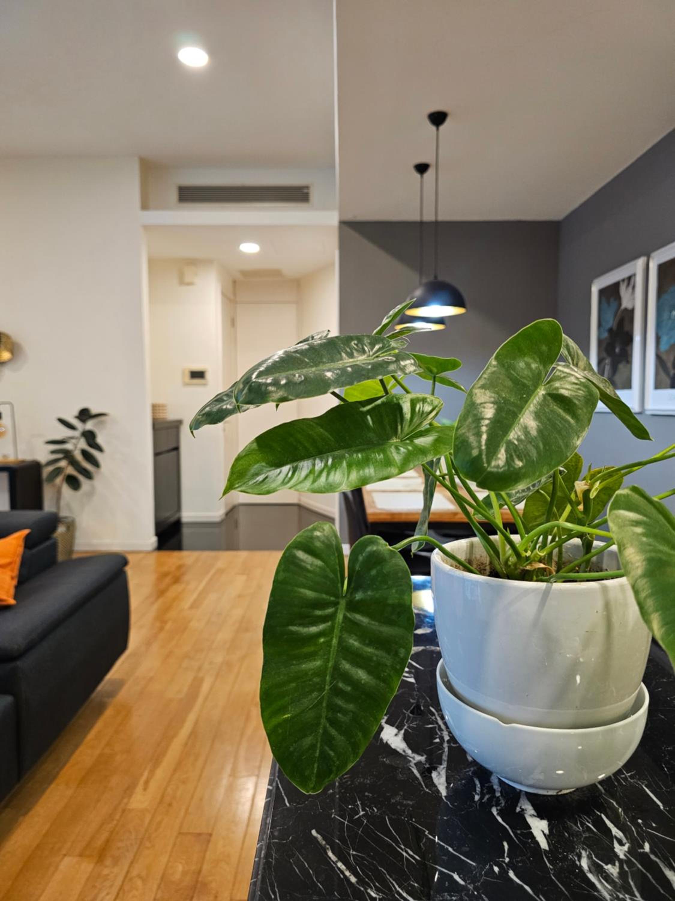 Cosy Apartment at St Mary KL City Centre