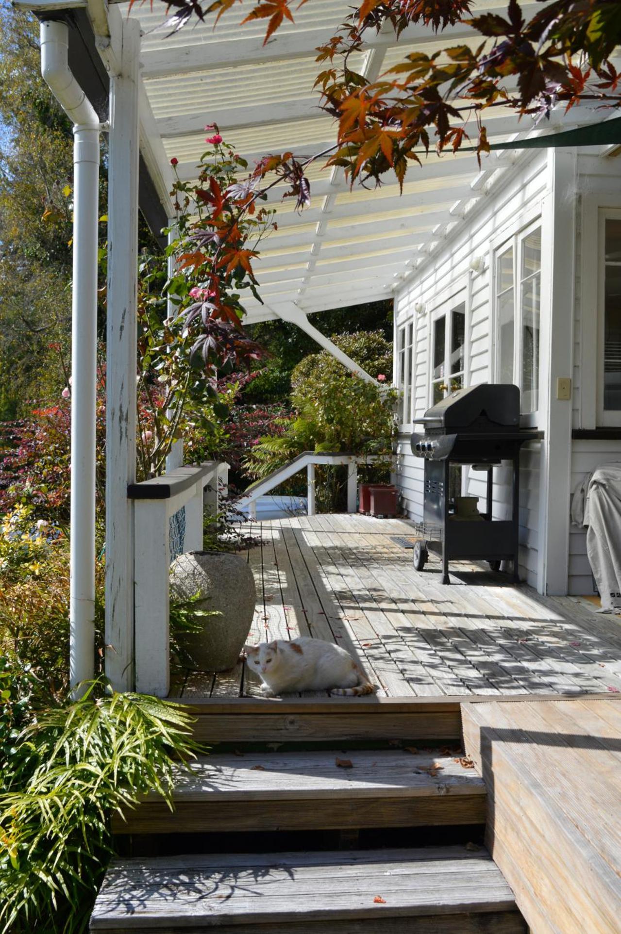 Magpie Cottage Homestay Bed & Breakfast