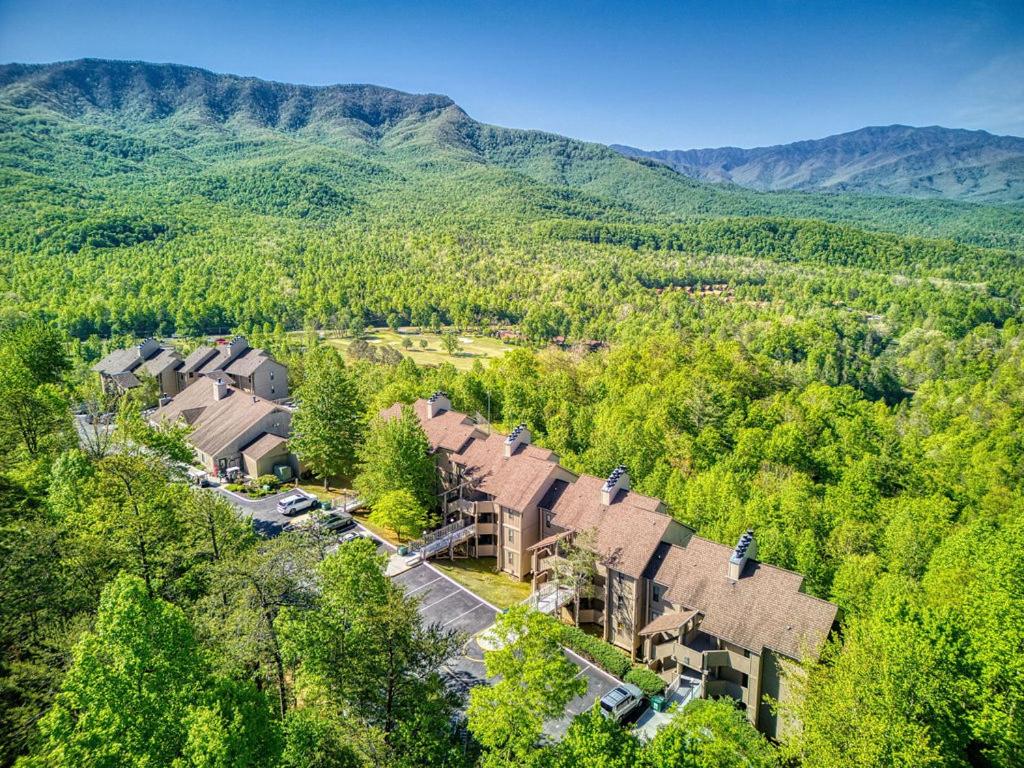 Mountain Escape, Resort Pool, 560 FREE tickets each paid day, Mountain Views! view 3
