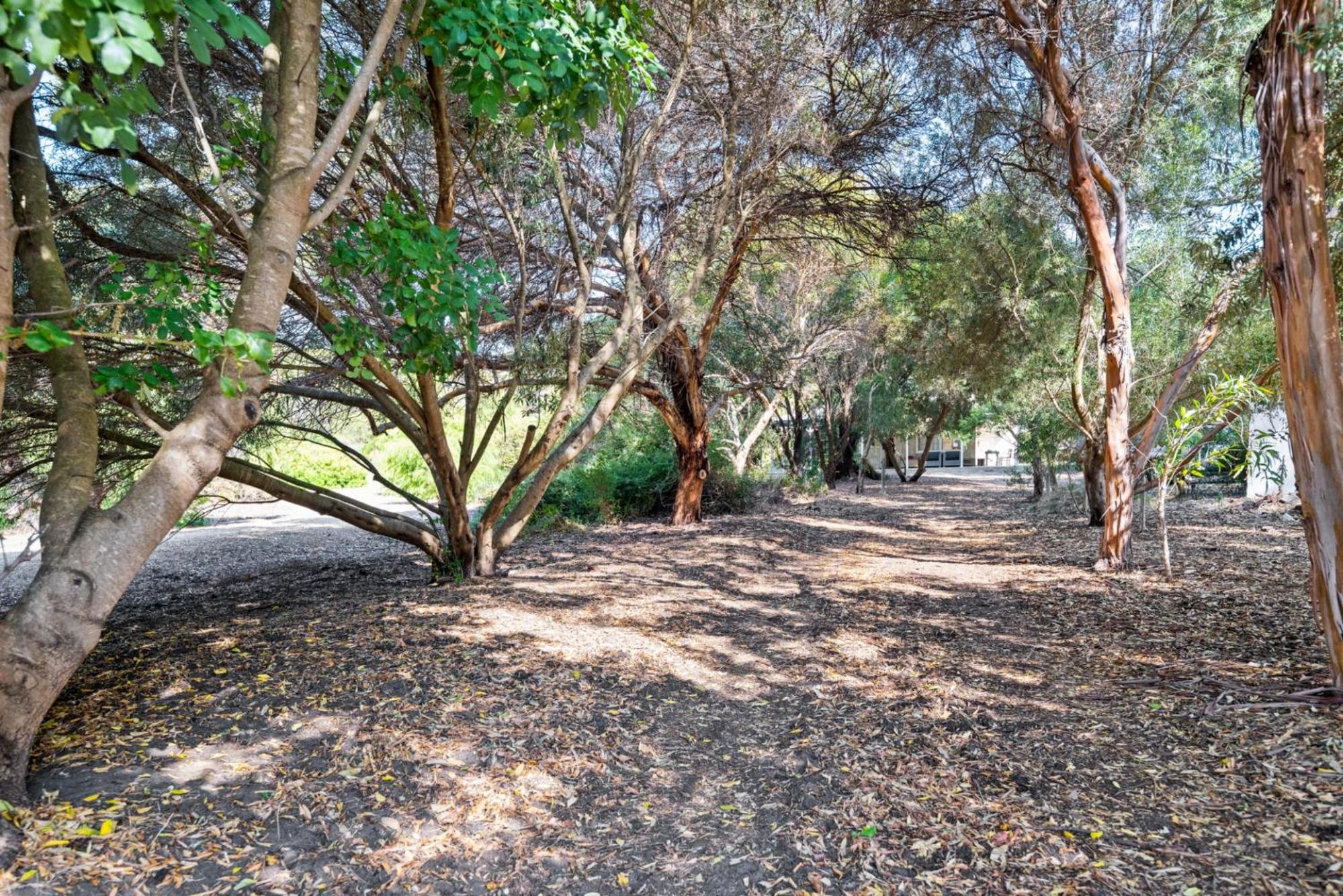 Kangaroo Cottage