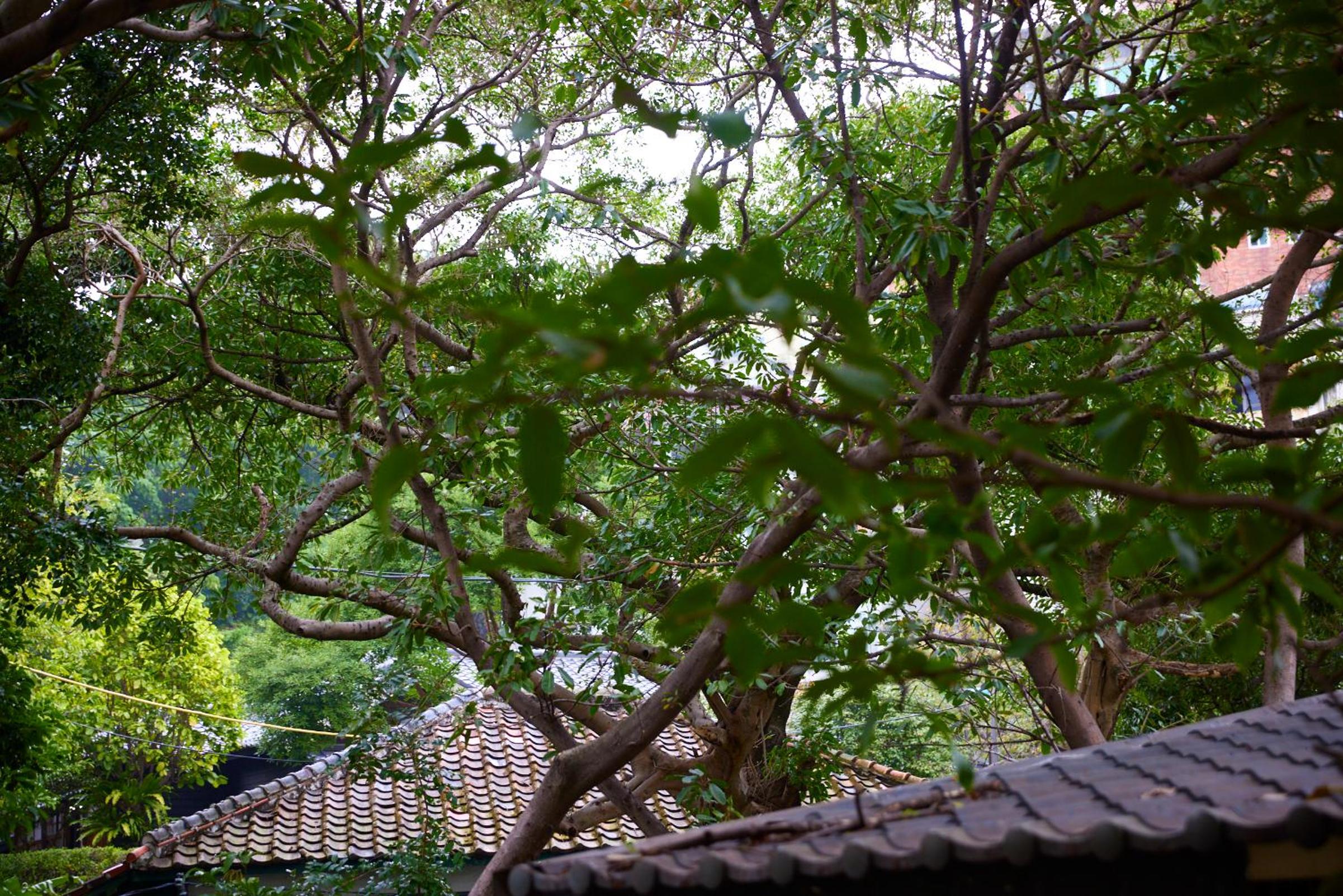 Kyokusui Hotspring Hotel