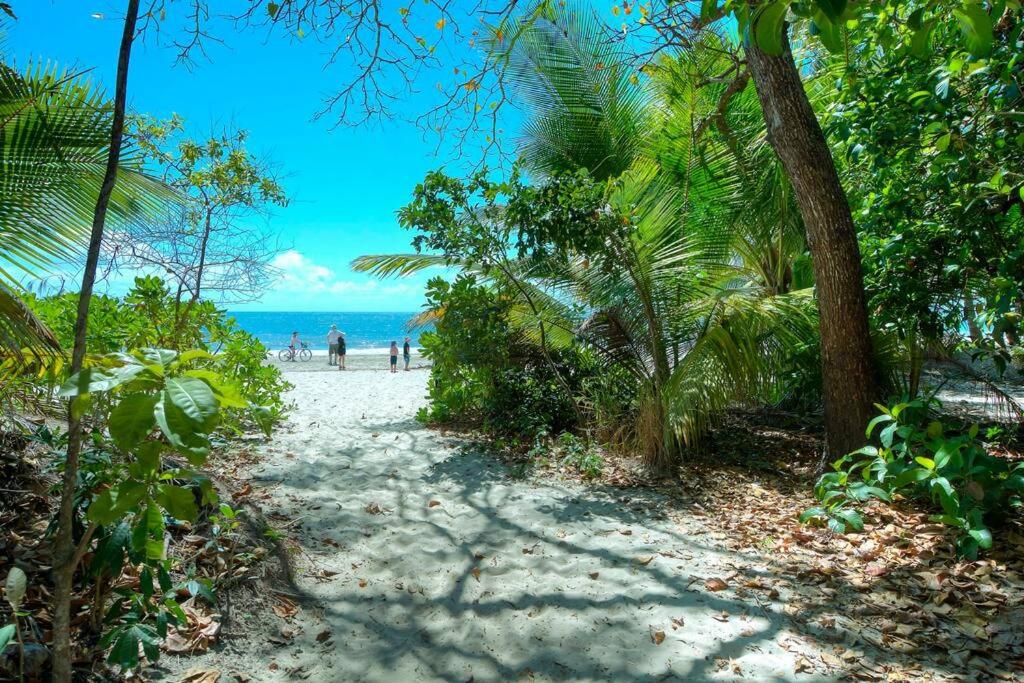 Oceanique - Absolute Beachfront Port Douglas