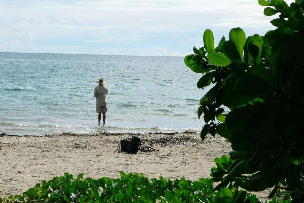 Oceanique - Absolute Beachfront Port Douglas