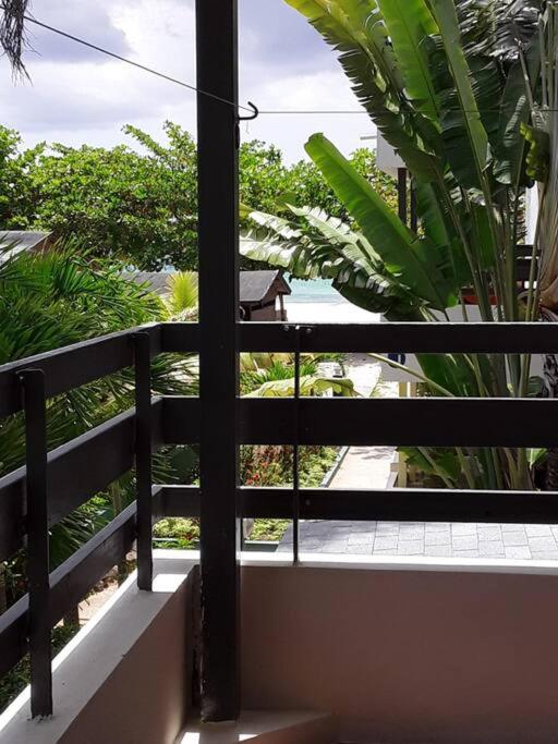 Studio Apt on 7 Mile Beach at Negril Beach Club view 3
