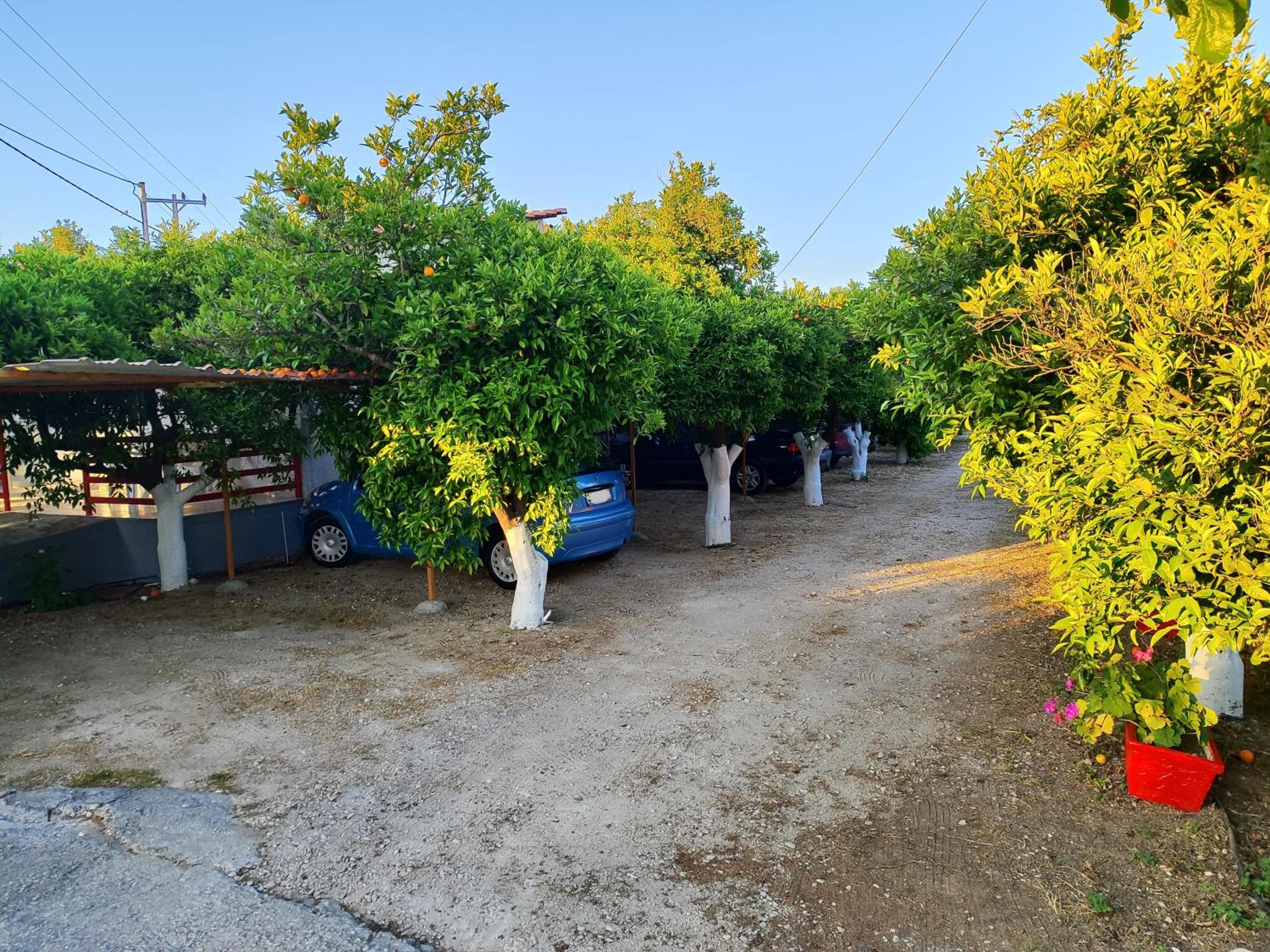 CottonClub Villas