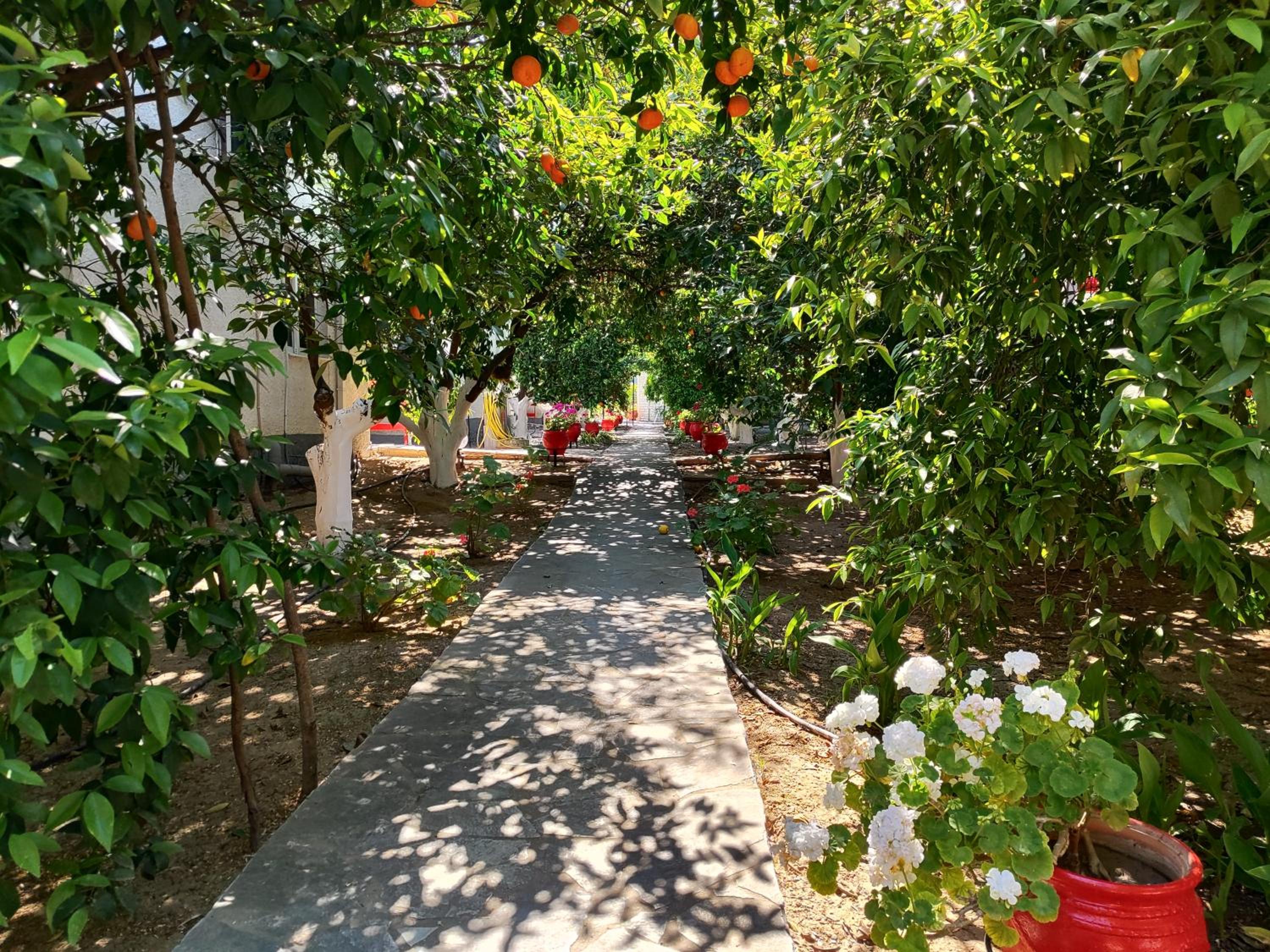 CottonClub Villas