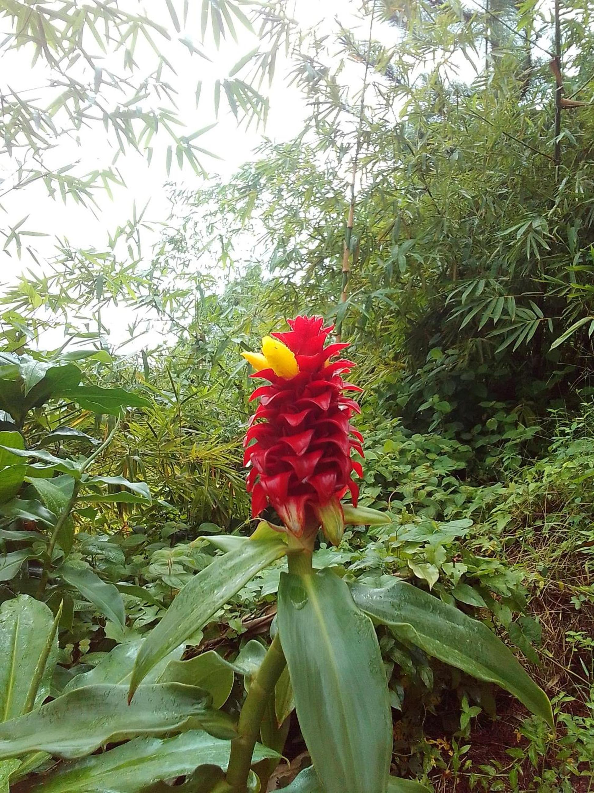 Photo 13