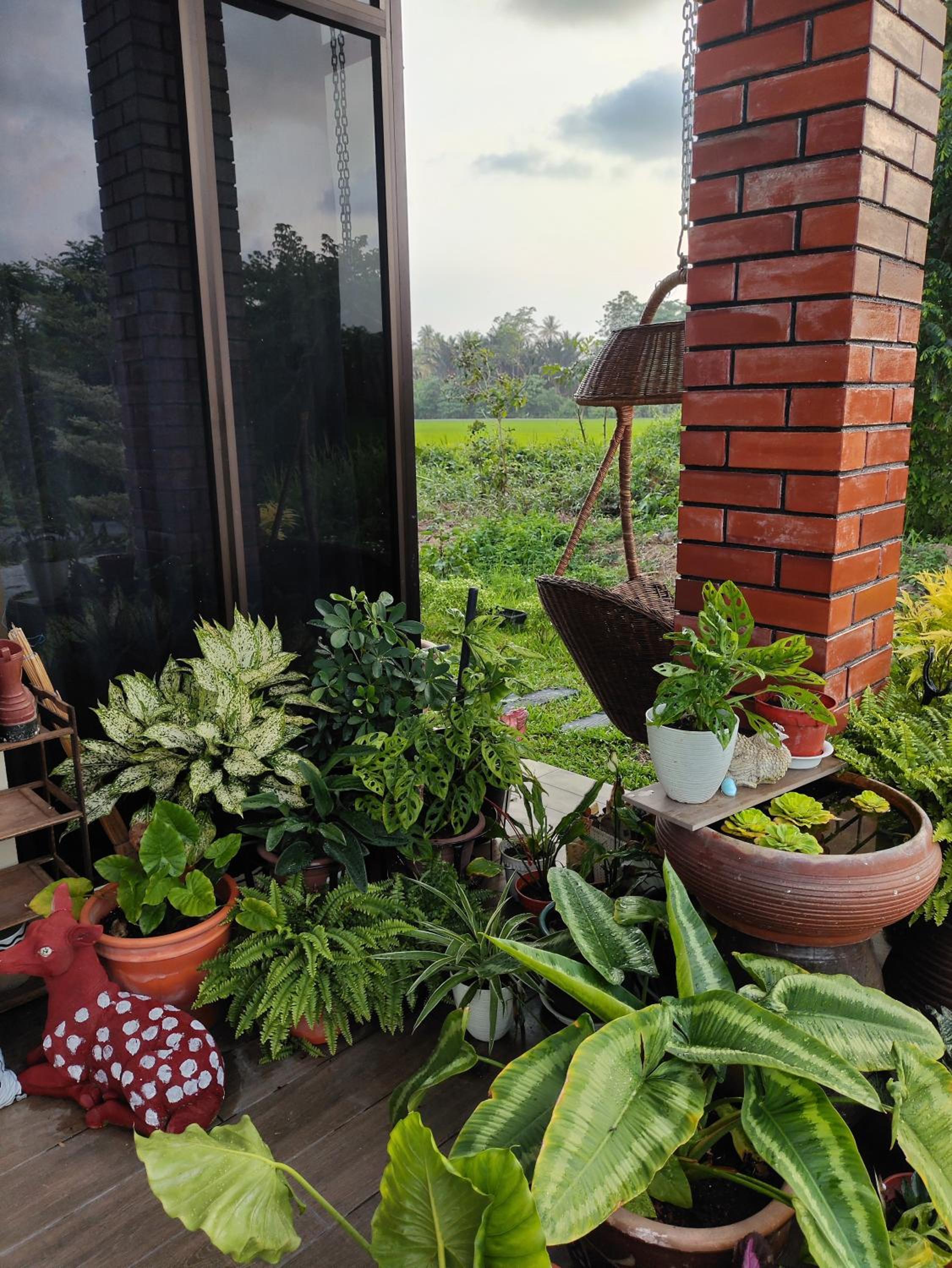 Mai Paddy Cottage, Balik Pulau photo 5