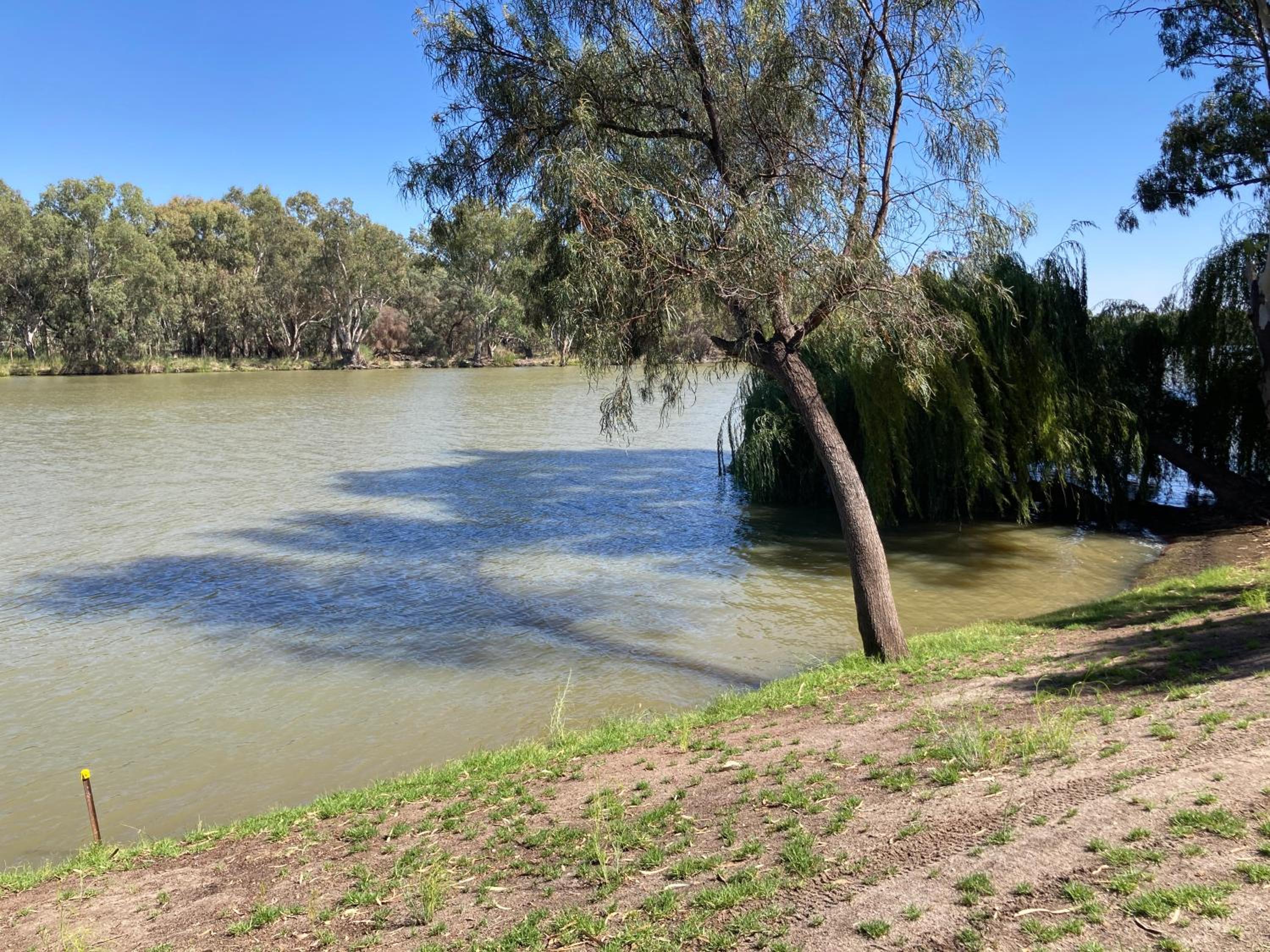 Paringa Riverside Resort
