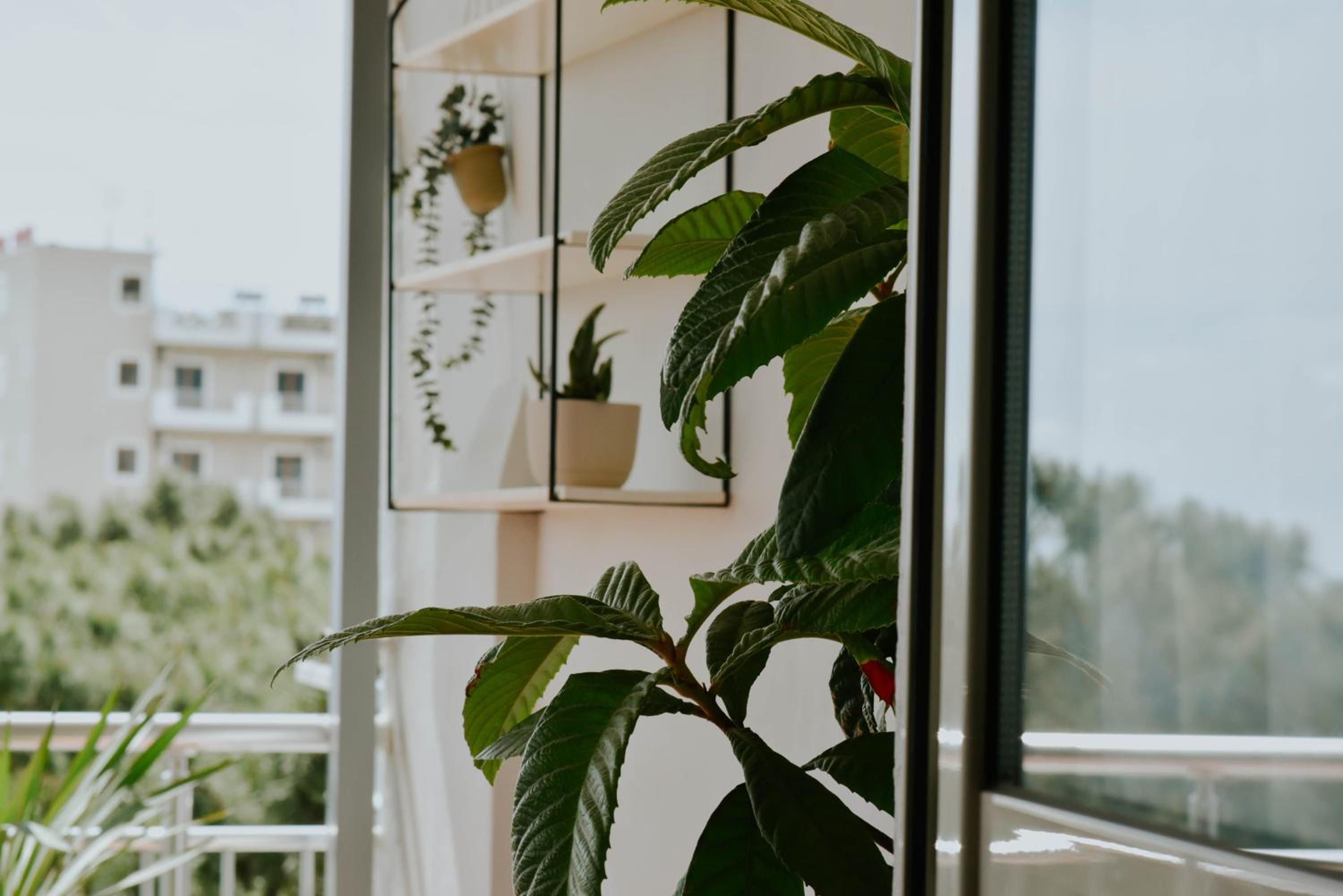 TheView apartment
