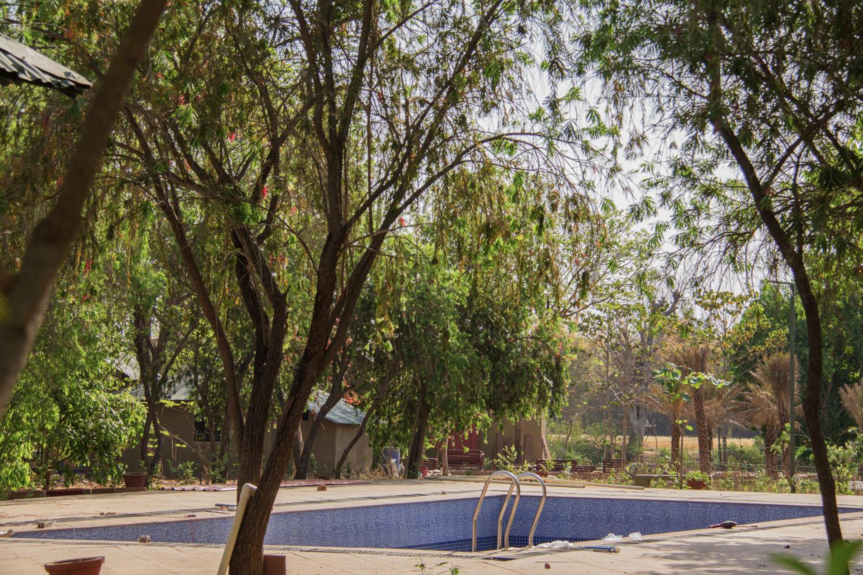 Tathastu Bandhavgarh