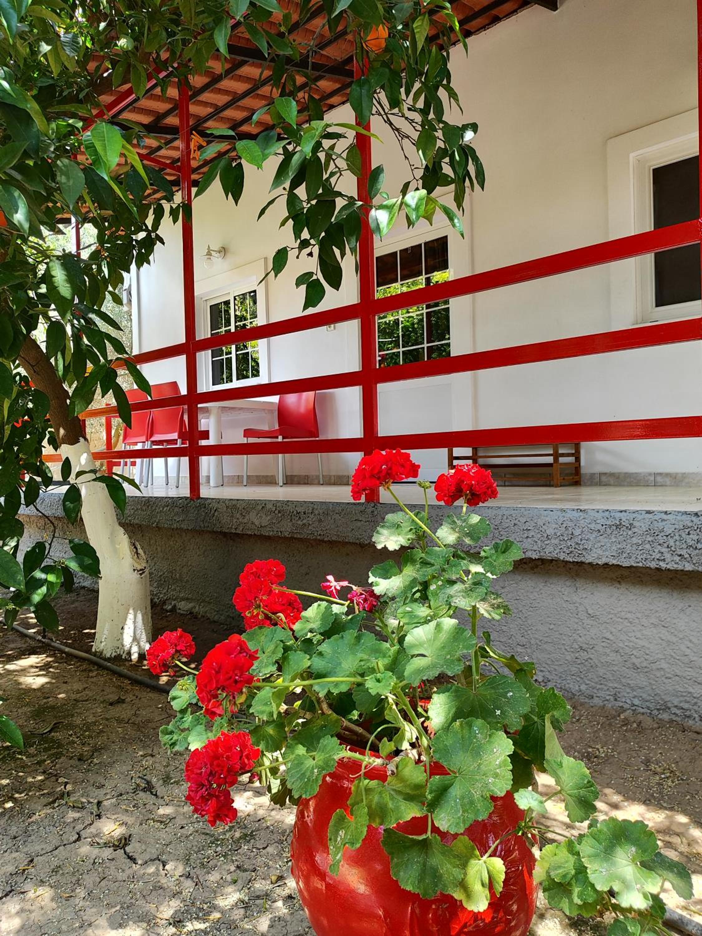 CottonClub Villas