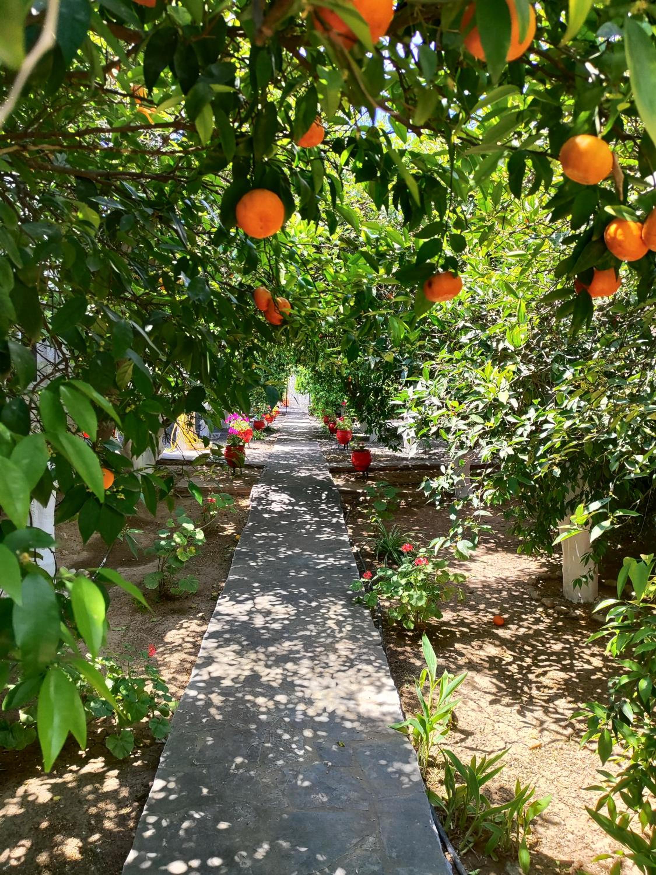 CottonClub Villas