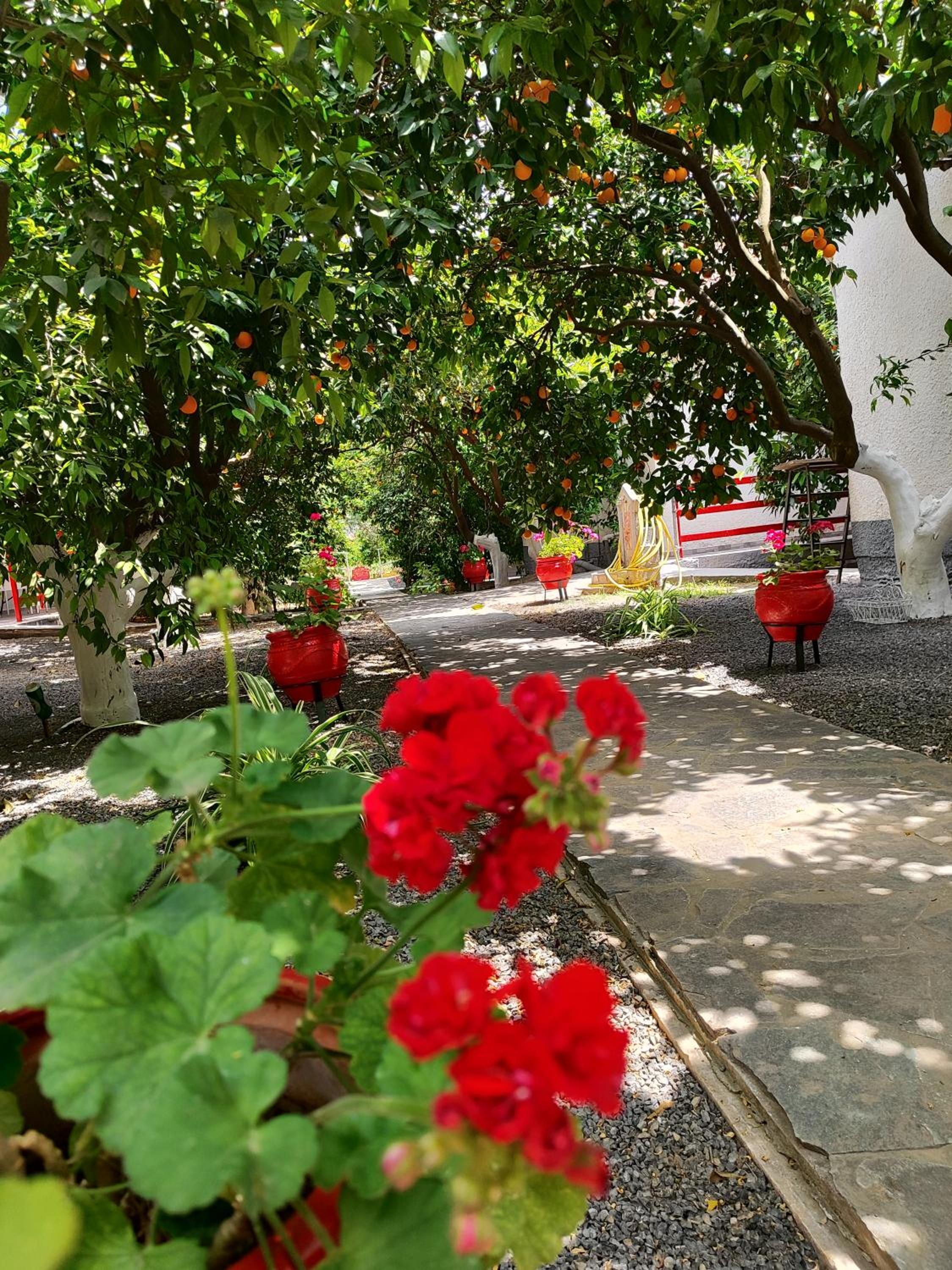CottonClub Villas