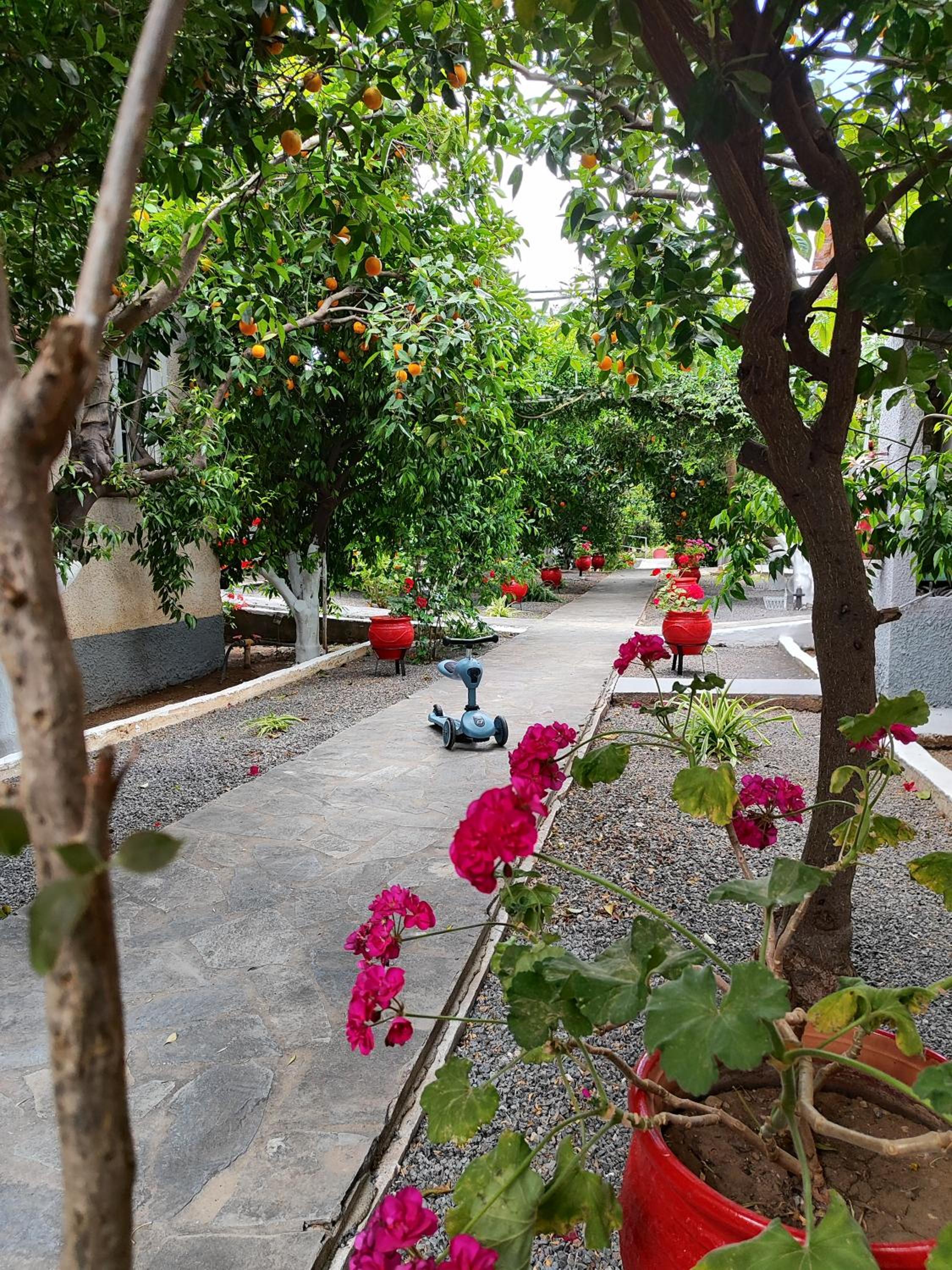 CottonClub Villas