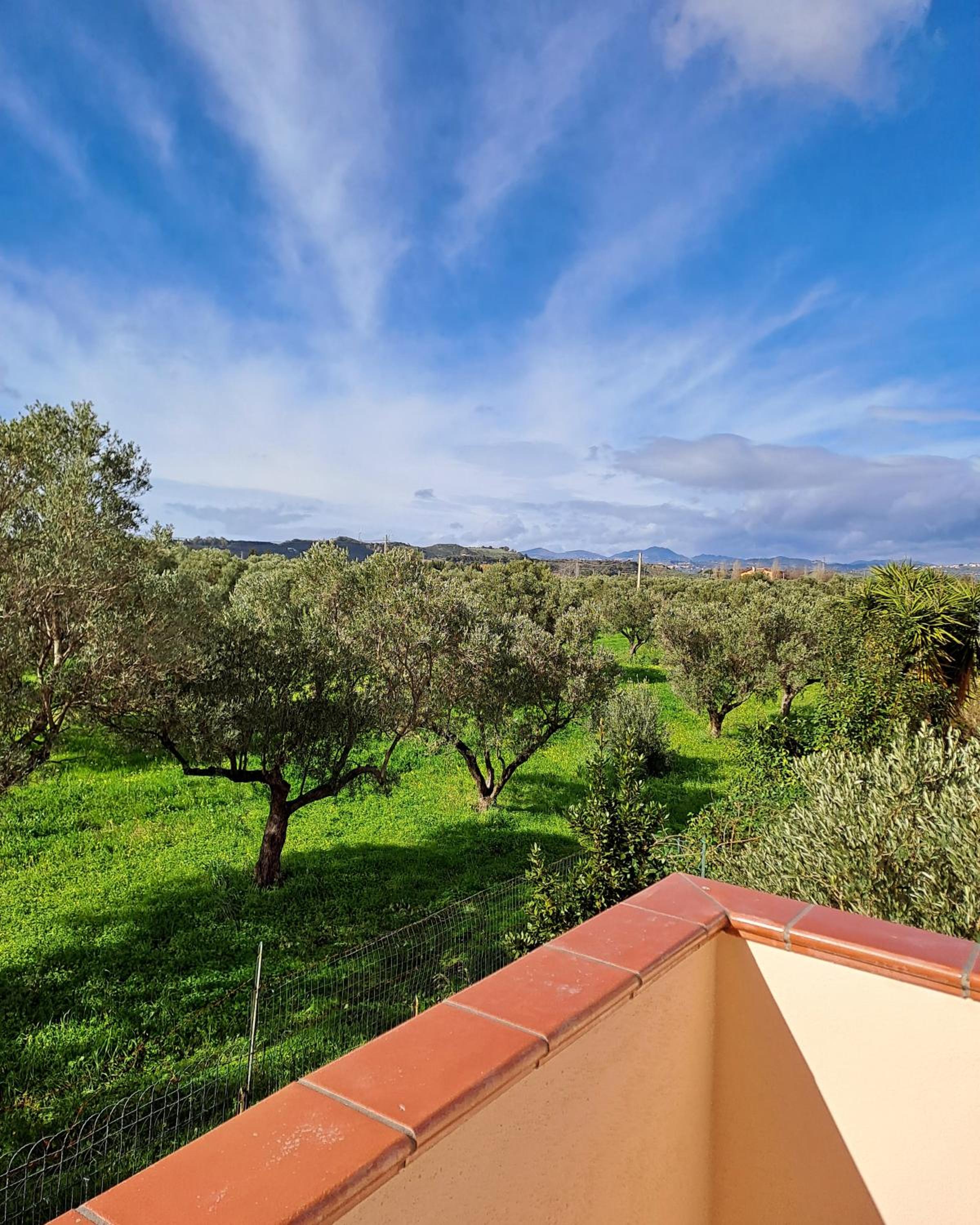 Casa torelli verde photo 3