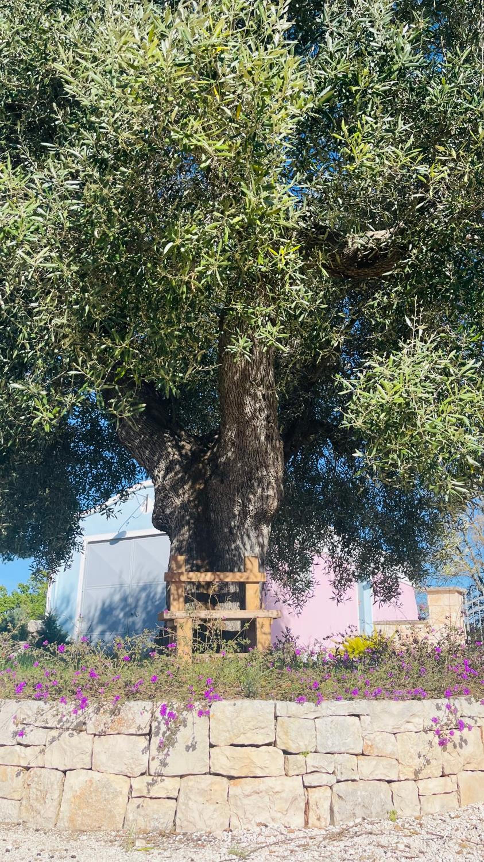 Masseria Trullo Sovrano Exclusive B&B